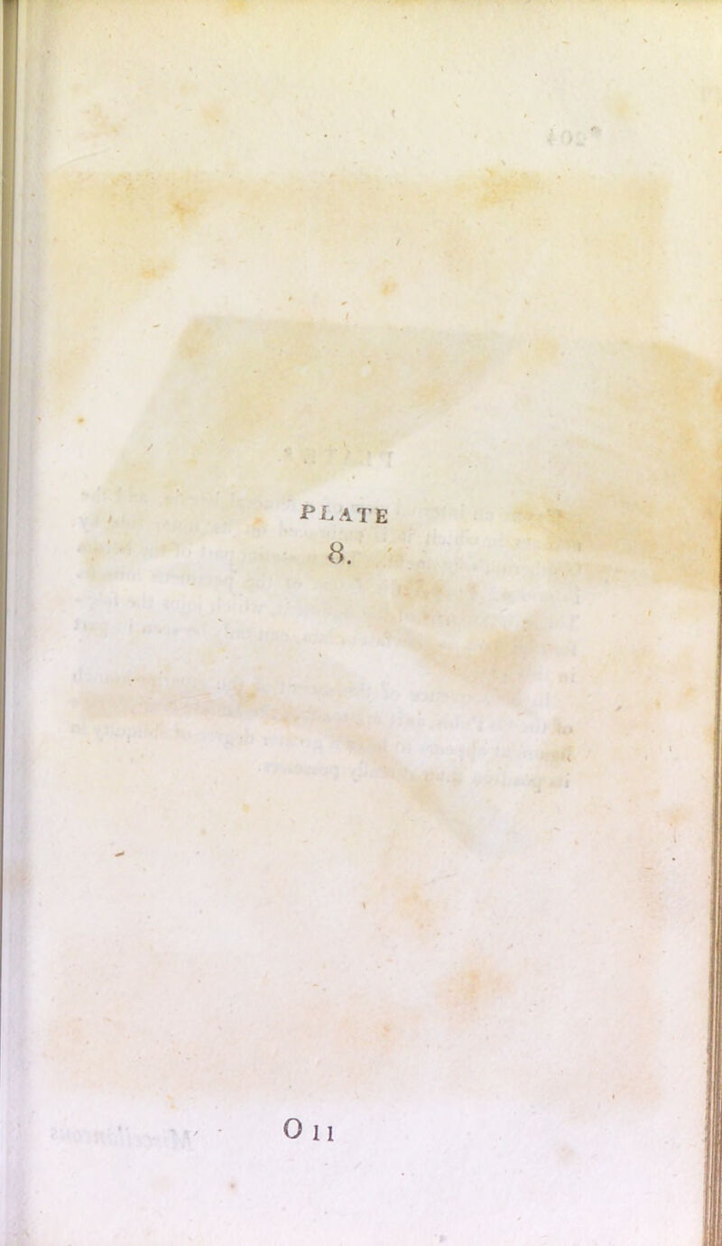 « plate 8. \