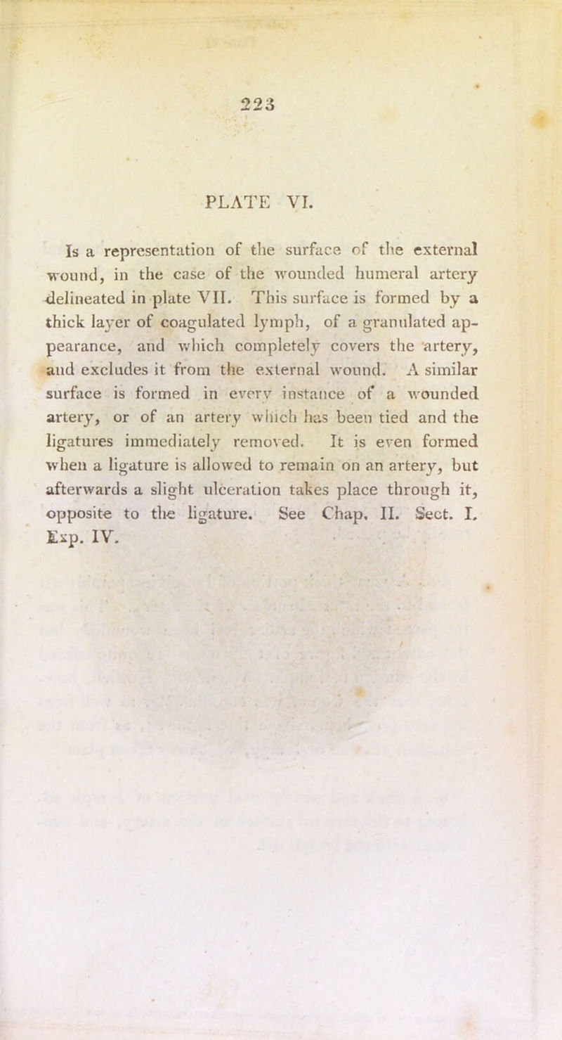 Is a representation of the surface of the external wound, in the case of the wounded humeral artery delineated in plate VII. This surface is formed by a thick layer of coagulated lymph, of a granulated ap- pearance, and which completely covers the artery, and excludes it from the external wound. A similar surface is formed in every instance of a wounded artery, or of an artery which has been tied and the ligatures immediately removed. It is even formed when a ligature is allowed to remain on an artery, but afterwards a slight ulceration takes place through it, opposite to the ligature. See Chap. II. Sect. I. Exp. IV.