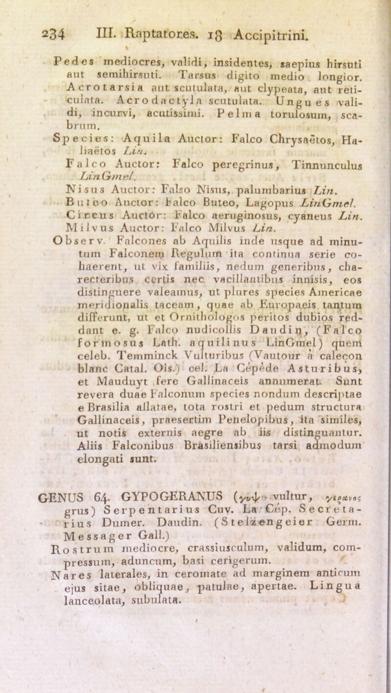 % Pedes mediocres, validi, insidentes, saepius hirsuti aut semihirsuti. Tarsus digito medio longior. Acrotarsia aut scululata, aut clypeata, aut reti- culata. Acrodactyla scutulata. Ungues vali- di, incurvi, acutissimi. Pelma torulosum, sca- brutn, Species: Aquila Auctor: Falco Chrysaetos, Ha- liaetos Lin. Falco Auctor: Falco peregrinus, Tinnunculus Lin G/nel. Nisus Auctor: Falso Nisus, paluinbarius Lin. Buteo Auctor: Jbalco Buteo, Lagopus LinGmcf. Circus Auctör: Falco aeruginosus, cyaneus Lin. Milvus Auctor: Falco Milvus Lin. Observ. Falcones ab Aquilis inde tisque ad minu- tum Falconem Regulum ita continua serie co- baerent, uL vix familiis, nedum generibus, cha- recteribus certis nec vaciliantibus innisis, eos distinguere valeainus, ut plures species Americae rneridionalis taceam, quae ab Fiuropaeis tan,tum differunt, ut et Ornitbologos peritos dubios red- dant e. g. Falco nudicollis D au diu, (Falco formosus Lath. aquilinus LinGmel) queiri celeb. Teiuminck Vulturibus (Vautour a calecon blanc Catal. Ois.) cel. La Cep^de Asturibus, et Mauduyt fere Gallinaceis annumerat. Sunt revera duae Falconuin species nondum descriptae e Brasilia allatae, tota rostri et pedum structura Gallinaceis, praesertim Penelopibus, ita similes, ut notis externis aegre ab iis distinguautur. Aliis Falconibus Brasiliensibus tarsi aamodum elongati sunt. GENUS 64- G“i POGERANUS (yv-^- vultur, ytectv»', grus) Serpentarius Cuv. La Cep. Secfeta- rius Dumer. Daudin. ( S t elz eng eier Germ. Messager Gail.) Rost rum mediocre, crassiusculum, validum, com- pressuin, aduncum, basi cerigerum. Nares laterales, in ceroinate ad marginem anticum ejus sitae, obliquae, patulae, apertae. Lingua lanceolata, subulata.