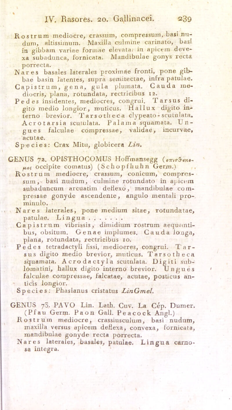 Rostrum mediocre, crassum, compressum, basi nn- dum, altissimum. MaxilJa culmine carinato, basi in gibbam variae formae elevata; in apicetn deve- xa subadunca, lornicata. Mandibulae gonys recta porrecta. Nares basales laterales proximae fronti, pone gib- bae basin latentes, supra semitectae, infra patulae. Capistrum, gena, gul-a plumata. Cauda me- diocris, plana, rotundata, rectricibus 12. Pedes insidentes, mediocres, congrui. Tarsus di- gito medio longior, muticus. Hallux digito in- terno brevior. Tarsotlieca clypeato - scutulata. Acrotarsia scululata. Palama squamata. Un- gues falculae compressae, validae, incurvae, acutae. Species: Crax Mitu, globicera Lin. GENUS 72. OPISTHOCOMUS Hoffinansegg ( oTi<rü-eiio~ poi; occipite comatus) (Schopfhuhn Germ.) Rostrum mediocre, crassum, conicum, compres- sum,' basi nudum, culmine rotundato in apicora subaduncum arcuatiin dellexo, mandibulae com- pressae gonyde ascendente, angulo mentali pro- minulo. Nares laterales, pone medium sitae, rotundatae, patulae. Lingua Capistrum vibrissis, dimidium rostrum aequnnti- bus, obsitum. Genae implumes. Cauda longa, plana, rotundata, rectricibus 10. Pedes tetradactyli fissi, medioeres, congrui. Tar- sus digito medio brevior, muticus. Tarsotheca squamata. Acrodactyla scutulata. Digiti sub- lomatini, hallux digito interno brevior. Ungues falculae compressae, falcatae, acutae, posticus an- tieis longior. Species: Phasianus cristatus LinGmel. GENUS 73, PAYO Lin. Lath. Cuv. La Cep. Dumer. (Pfau Germ. Paon Gail. Peacock Angl.) Rostrum mediocre, crassiusculurn, basi nudum, maxilla versus apicern deflexa, convexa, fornicata, mandibulae gonyde recta porrecta. Nares laterales, basales, patulae. Lingua carno- sa integra.