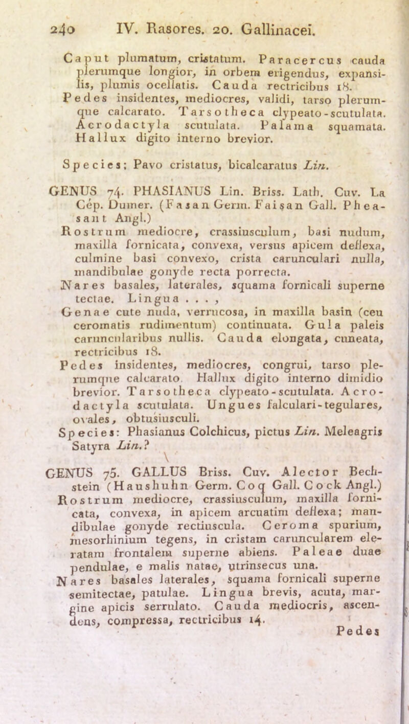 Caput plumatum, cristatum. Paracercus cauda pJerumque longior, in orbem erigendus, expansi- lis, plumis oceliatis. Cauda rectricibus 18. Pedes insidentes, mediocres, validi, tarso plerum- que calcarato. Tarso theca clypeato-scutulata. Acrodactyla scutulata. Palarna squamata. Hallux digito interno brevior. Species; Pavo cristatus, bicalcaratus Lin. GENUS 74. PHASIANUS Lin. Briss. Lath. Cuv. La Cep. Duiner. (F a s a n Germ. Fai sa n Gail. Phea- sant Angl.) Rostrum mediocre, crassiusculum, basi nudum, maxilla fornicata, conyexa, versus apicem dellexa, culmine basi convexo, crista carunoulari nulla, mandibulae gonyde recta porrecta. Na res basales, laterales, squama fornicali superne tectae. Lingua ... , Genae cute nuda, verrucosa, in maxilla basin (ceu ceromatis rudimentum) continuata. Gula paleis caruncularibus nullis. Cauda elongata, cimeata, rectricibus 18. Pedes insidentes, mediocres, congrui, tarso ple- rumqne calcarato Hallux digito interno dimidio brevior. Tarsotheca clypeato - scutulata. Acro- dactyla scutulata. Ungues falculari-tegulares, ovales, obtusiusculi. Species: Phasianus Colchicus, pictus Lin. Meleagris Satyra Lin.} GENUS 70. GALLUS Briss. Cuv. Alector Becli- stein (Haushuhn Germ. Co ct Gail. C o ck Angl.) Rostrum mediocre, crassiusculum, maxilla lorni- cata, convexa, in apicem arcuatim dellexa; man- dibulae gonyde rectiuscula. Ceroma spurium, fuesorhinium tegens, in cristam caruncularem ele- ratam frontalem superne abiens. Paleae duae pendulae, e malis natae, ytrinsecus una. Na res basales laterales, squama fornicali superne semitectae, patulae. Lingua brevis, acuta, mar- gine apicis serrulato. Cauda metliocris, ascen- dens, compressa, rectricibus 14. Pedes