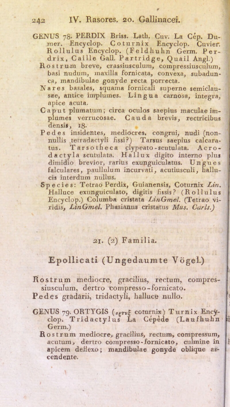 GENUS 78. PERDIX Briss. Lath. Cuv. La Cep. Du- mer. Encyclop. Co turnix Encyclop. Cuvier. Roll ul us Encyclop. (Feldhuhn Germ. Per- drix, Caille Gail. Partridge, Quail Angl.) Rost rum breve, crassiusculum, compressiusculum, basi nudum, maxilla fornicata, convexa, subadun- ca, mandibulae gonyde recta porrecta. Na res basales, squama fornicali superne semiclau- sae, antice iurpluines. Lingua carnosa, integra, apice acuta. Caput plumatum; circa oculos saepius maculae im- plumes verrucosae. Cauda brevis, rectricibus densis, 18- Pedes insidentes, mediocres, congrui, nudi (non- nullis teiTadactyli fissi?) Tarsus saepius calcara- tus. Tarsotlieca clypeato-scutulata. Acro- dactyla scutulata. Hallux digito interno plus dimidio brevior, rarius exunguiculatus. Uneues falculares, paullulum incurvati, acutiusculi, hallu- cis interdum nullus. Sp eeie s: Tetrao Perdix, Guianensis, Coturnix Lin. Halluce exunguiculato, digitis fissis? (Rollulus Encyclop.) Columba cristata LinGmel. (Tetrao vi- ridis, LinGmel. Phasianus cristatus Mus. Carls.) 21. (2) Familia. Epollicati (Ungedaumte Vögel.) Rostrum mediocre, gracilius, rectum, compres- siusculum, dertro rompresso-fornicato. Pedes gradarii, tridactyli, halluce nullo. GENUS 79. ORTYGIS (e{rv| coturnix) Turnix Ency- clop. Tridactylus La Cepede (Laufhuhn Germ.) Rost rum mediocre, gracilius, rectum, compressum, acutum, dertro compresso-fornicato, cuhnine in apicem defiexo; mandibulae gonyde oblique as- cendente. /
