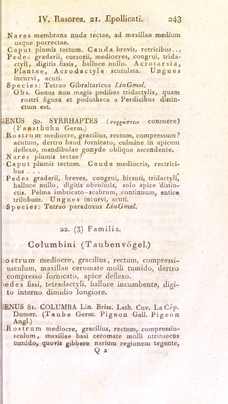 Na res membrana nuda tectae, ad xnaxülae medimn usque porrectae. Caput plumis tectum. Cauda brevis, retricibus... Pede .. gradarii, cursorii, mediocres, congrpi, trida- ctyli, digitis fissis, halluce nullo. Acrotarsia, Plantae, Acrodactyla scutulata. Ungues incurvi, acuti. 5p e cies: Tetrao Gibraltaricus LinGmeL Obs. Genus non magis pedibus tridactylis, quam rostri hgura et podotbeca a Perdicibus distin- ctum est. dENUS 80. SYRRHAPTES (rvgi>x7rTeiv consuere) (Eaastlitlhn Germ.) Rostrum mediocre, gracilius, rectum, compressum? acutum, dertro haud fornicato, culmine in apicem deflexo, mandibuJae gonyde oblique ascendente. Nares plumis tectae? Caput plumis tectum. Cauda mediocris, rectrici- bus ... , Pedes gradarii, breves, congrui, hirsuti, tridactyli, halluce nullo, digitis obvolutis, solo apice distin- ctis. Pelma imbricato-scabrum, continuum, antice trilobum. Ungues incurvi, acuti. .Species: Tetrao paradoxus LinGntel. 22. (3) Familia. Columbini (Taubenvogel.) costrum mediocre, gracilius, rectum, compressi- usculum, maxillae ceromate molli tumido, dertro compresso fornicato, apice deflexo. tedes fissi, tetradactyli, halluce incumbente, digi- to interno dimidio longiore. 1ENUS 81. COLUMBA Lin. Briss. Lath. Cuv. La Cep. Dumer. (Taube Germ. Pigeon Gail. Pigeon Angl.) IR ostrum mediocre, gracilius, rectum, eompressiu- sculum, maxillae basi ceromate molli utrinsecus tujnido, quovis gibbere narium regionem tegente, Q *