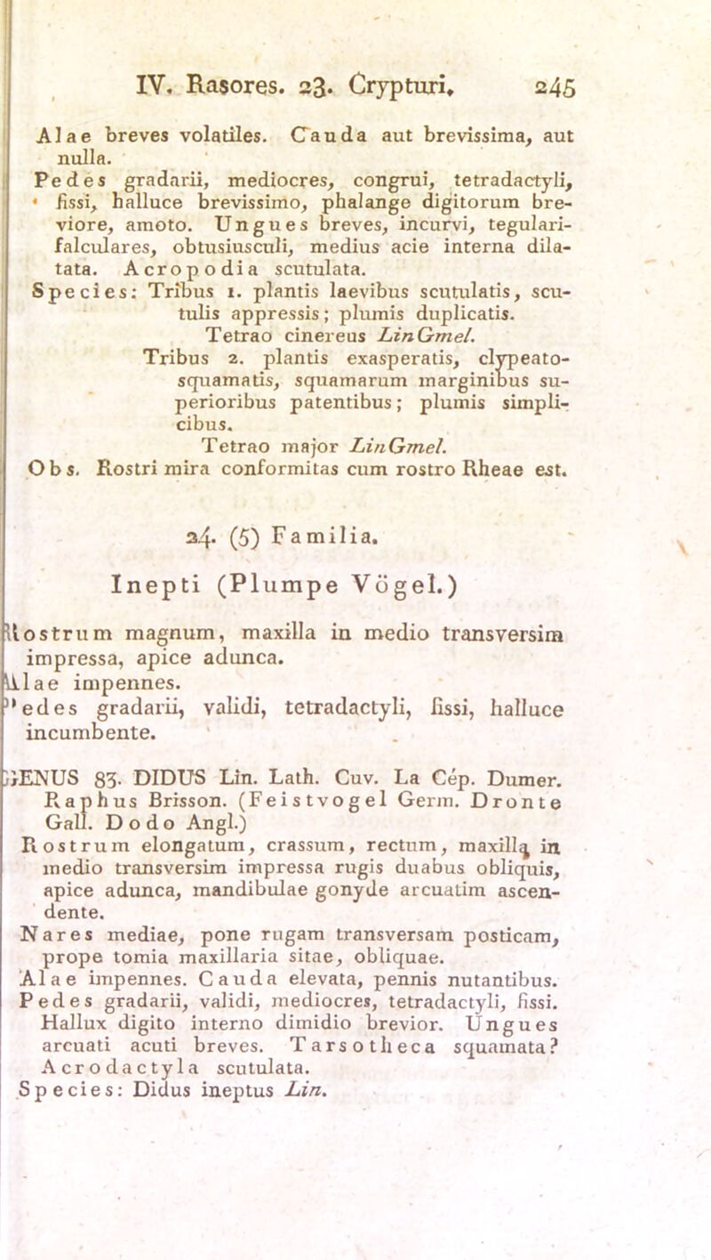 I * , * I IV. Rasores. 23. Crypturi, 245 Alae breves volatiles. CTanda aut brevissima, aut nulla. Pedes gradarii, mediocres, congrui, tetradactyli, • hssi, halluce brevissimo, phalange digitorum bre- viore, amoto. Ungues breves, incurvi, tegulari- falculares, obtusiusculi, medius acie interna dila- tata. Acropodia scutulata. Species: Tribus 1. plantis laevibus scutulatis, scu- tulis appressis; plurais duplicatis. Tetrao cinereus LinGmel. Tribus 2. plantis exasperatis, clypeato- squamatis, squamarum marginibus su- perioribus patentibus; plumis simpli- cibus. Tetrao major LinGmel. Obs. Rostri mira conformitas cum rostro Rheae est. 34- (5) F a m i I i a. Inepti (Plumpe Vögel.) 11 ostrum magnum, maxilla in medio transversim impressa, apice adunca. ihlae impennes. nedes gradarii, validi, tetradactyli, lissi, halluce incumbente. )}ENUS 83- DIDUS Lin. Lath. Cuv. La Cep. Dumer. Raphus Brisson. (Feistvogel Germ. Dronte Gail. D o d o Angl.) R ostrum elongatum, crassum, rectum, maxill^ in medio transversim impressa rugis duabus obliquis, apice adunca, mandibulae gonyde arcuatim ascen- dente. Nares mediae, pone rugam transversam posticam, prope tomia maxillaria sitae, obliquae. Alae impennes. Cauda elevata, pennis nutantibus. Pedes gradarii, validi, mediocres, tetradactyli, fissi. Hallux digito interno dimidio brevior. Ungues arcuati acuti breves. Tarsotlieca squamata? Acrodactyla scutulata. Species: Didus ineptus Lin.