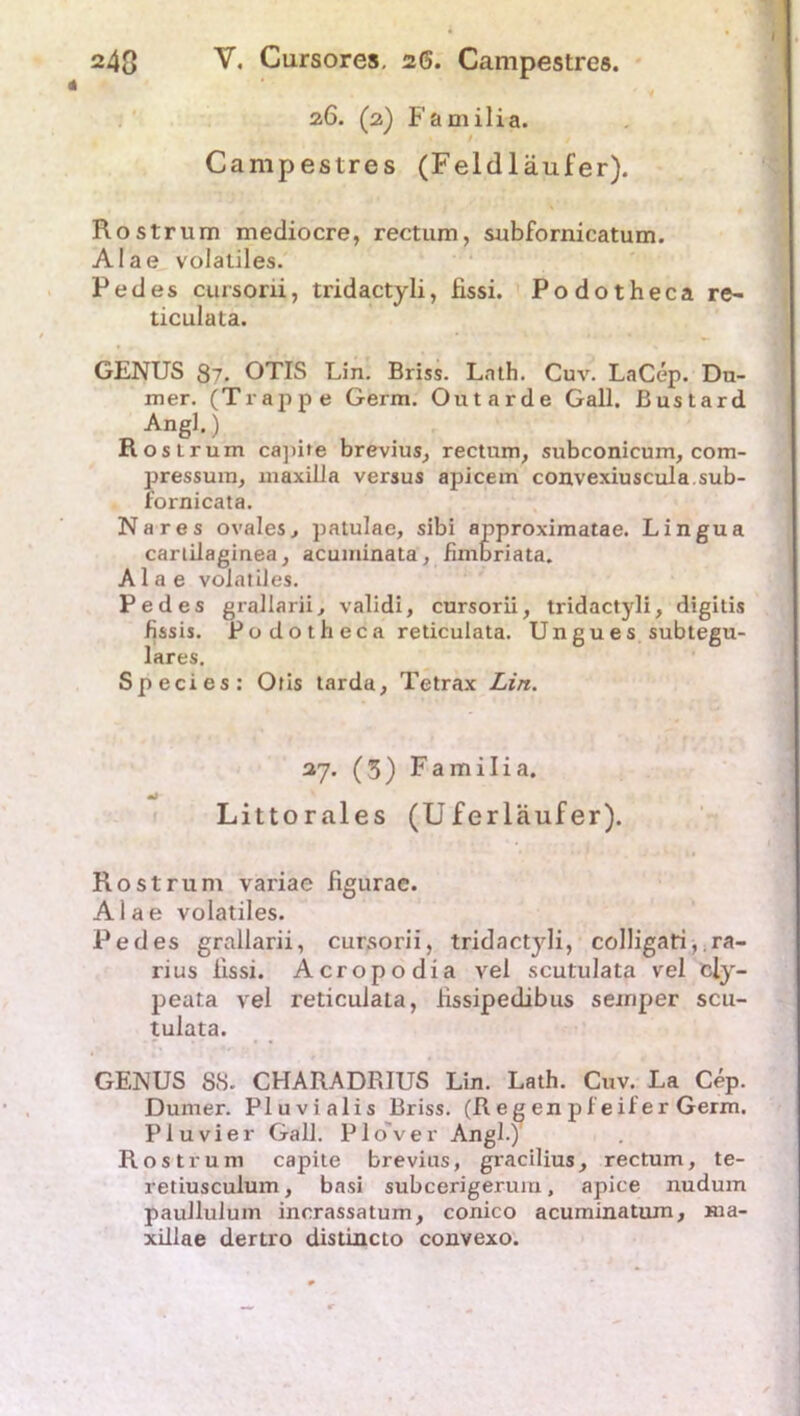 26. (2) Familia. Campestres (Feldläufer). Rostrum mediocre, rectum, subfornicatum. Alae volatiles. Pedes cursorii, tridactyli, fissi. Podotheca re- ticulata. GENUS 87. OTIS Lin. Briss. Lnth. Cuv. LaCep. Dn- mer. (Trappe Germ. Outarde Gail, ßustard nAng'') . Rostrum capite brevius, rectum, subconicum, com- pressum, maxilla versus apicem convexiuscula sub- fornicata. Na res ovales, patulae, sibi approximatae. Lingua carlilaginea, acuminata, fimbriata. Alae volatiles. Pedes grallarii, validi, cursorii, tridactyli, digitis fjssis. Podotheca reticulata. Ungues subtegu- lares. Species: Otis tarda, Tetrax Lin. 27. (3) Familia. ml Littorales (Uferläufer). Rost rum variae figtlrae. Alae volatiles. Pedes grallarii, cursorii, tridactyli, colligati,.ra- rtus iissi. Acropodia vel scutulata vel cly- peata vel reticulata, lissipedibus semper scu- tulata. GENUS SS- CHARADRIUS Lin. Lath. Cuv. La Cep. Dumer. Pluvialis Briss. (R e g en p 1 e il e r Germ. PIuvier Gail. Plo'ver Angl.) Rostrum capite brevius, gracilius, rectum, te- retiusculum, basi subcerigerum, apice nudum paullulum incrassatum, conico acuminatum, ma- xillae dertro distincto convexo.