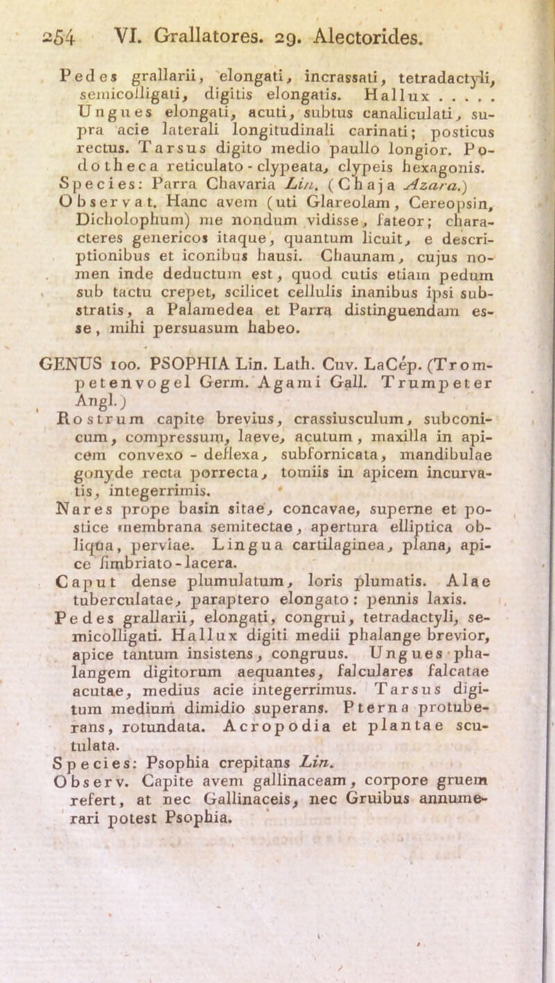 Peel cs grallarii, elongati, incrassati, tetradactyli, seinicoiligati, digitis elongatis. Hallux Ungues elongati, acuti, subtus canaliculati, su- pra acie laterali longitudinali carinati; posticus rectus. Tarsus digilo medio paullo longior. Po- dotheca reticulato - elypeata, elypeis hexagonis. Species: Parra Chavaria Lin. (Chaja Azara.) Observat. Hane avem (uti Glareoiam, Cereopsin, Dicholophum) me nondum vidisse, iateor; chara- cteres genericos itaque, quantum lieuit, e descri- ptionibus et iconibus hausi. Chaunam, cujus no- men inde deductum est, quod cutis etiam pedum sub tactu crepet, scilicet cellulis inanibus ipsi sub- stratis, a Palamedea et Parra distinguendam es- se , mihi persuasum habeo. GENUS 100. PSOPHIA Lin. Lath. Cuv. LaCep. (Trom- petenvogel Germ. Againi Gail. Trump eter An81-) Rostrum capite brevius, crassiusculum, subconi- cum, compressum, laeve, acuLum , maxilla in api- cem convexo - deflexa, subfornicata, mandibulae gonyde recta porrecta, tomiis in apicem incurva- tis ^ integerrimis. Nares prope basin sitae, concavae, superne et po- sLice membrana semitectae, apertura elliptica ob- liqüa, perviae. Lingua carLilaginea, plana, api- ce limbriato-lacera. Caput dense plumulatum, loris plumatis. Alae tuberculatae, paraptero elongato: pennis laxis. Pedes grallarii, elongati, congrui, tetradactyli, se- micolligati. Hallux digiti medii phalange brevior, apice tantum insistens, congruus. Ungues pha- langern digitorum aequantes, falculares falcatae acutae, medius acie integerrimus. Tarsus digi- tum medium dimidio superans. Pt er na protube- rans, rotundata. Acropodia et plantae scu- tulata. Species: Psophia crepitans Lin. Observ. Capite avem gallinaceam, corpore gruem refert, at nec Gallinaceis, nec Gruibus annume- rari potest Psophia.