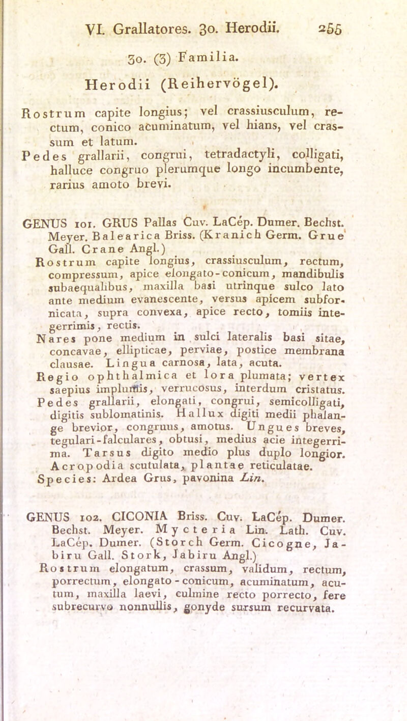 3o. (3) Familia. Herodii (Reihervögel). Rostrum capite longius; vel crassiusculum, re- ctum, conico acuminatum, vel hians, vel cras- sum et latum. Pedes grallarii, congrui, tetradactyli, colligati, halluce congruo plerumque longo incumbente, rarius amoto brevi. GENUS ioi. GRUS Pallas Cuv. LaCep. Dumer. Beeilst. Meyer. Balearica Briss. (Kranich Germ. Grue Gail. Crane Angl.) Rostrum capite longius, crassiusculum, rectum, compressum, apice elongato-conicum, mandibulis subaequahbus, maxilla basi utrinque sulco lato ante medium evanescente, versus apicem subfor- nicata, supra convexa, apice recto, tomiis inte- gerrimis, rectis. Na res pone medium in sulci lateralis basi sitae, concavae, ellipticae, perviae, postice membrana clausae. Lingua carnosa, lata, acuta. Regio ophthalmica et loraplumata; vertex saepius implurtlis, verrucosus, interduin cristatus. Pedes grallarii, elongati, congrui, semicolligati, digitis sublomatinis. Hallux digiti medii phalan- ge brevior, congruus, amotus. Ungues breves, tegulari-falculares, obtusi, medius acie integerri- ma. Tarsus digito medio plus duplo longior. Acropodia scutulata, plantae reticulatae. Species: Ardea Grus, pavonina Lin. GENUS 102. CICONIA Briss. Cuv. LaCep. Dumer. Bechst. Meyer. Mycteria Lin. Lath. Cuv. LaCep. Dumer. (Storch Germ. Cicogne, Ja- biru Gail. Stork, Jabiru Angl.) Rostrum elongatum, crassum, validuni, rectum, porrectum, elongato-conicum, acuminatum, acu- tum, maxilla laevi, culmine recto porrecto, fere subrecurvo nonnullis, gonyde sursum recurvata.