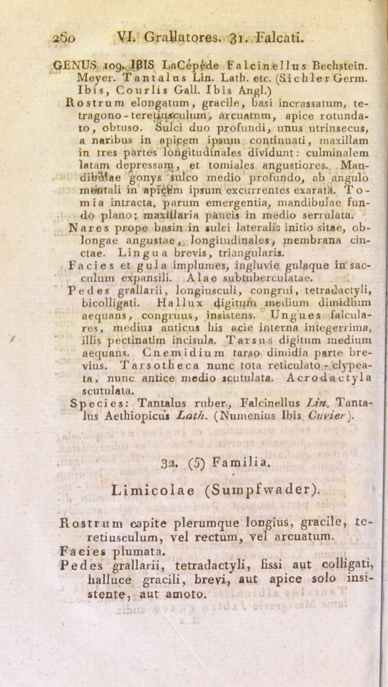GENUS 10g. IBIS LaCepede Falcinellus Bechstein. Meyer. Tantalus Lin. Lath. etc. (Sichler Germ. Ibis, Courlis Gail. Ibis Angl.) Rostrum elongatnm, gracile, uasi incrassatum, te- tragono-tereUuscidum, arcuatnm, apice rotunda- to, obtuso. Sulci duo profundi, unus utrinsecus, a naribus in apippm ipsum continuati, maxillam in tres partes longitudinales dividunt: culminalem latam depressarp, et tomiales angustiores. Man- dibulae gonys sulco medio profundo, ab angulo rnentali in apiqfe’m ipsum excurrentes exarata. Tö- rn ia intracta, parum emergentia, mandibulae fun- do plano; maxillaria p.ancis in medio serrulata. Nares prope bnsin in sulci lateralis initio sitae, ob- longae angustae, longitudinales , membrana cin- ctae. Lingua brevis, triangularis. Facies et gula implumes, ingluvie gulaque in sac- culum expansili. Alae subtuberculatae. Pedes grallarii, longiusculi, congrui, tetradaclyli, bicolligati. Hallux 4*gltum medium diinidium aequans, congruus, insistens. Ungues falcula- res, medius anticus liis ncie interna integerrima, illis pectinatim incisula. Tarsus digitum medium aequans. Cnemidium tarso dimidia parte bre- vius. Tarsotheca nunc tota reticulato - clypea- ta. nunc antice medio scutulata. Acrodactyla scutulata. Species: Tantalus ruber, Falcinellus Lin. Tanta- lus Aethiopicus Lath. (Numenius Ibis Cuvier). 3a. (5) Familia. Limicolae (Sumpfwader). Piostrum capite plerumque longius, gracile, tc- retiusculum, vel rectum, vel arcuatum. Facies plumata. Pedes grallarii, tetradactyli, fissi aut colligati, lialluce gracili, brevi, aut apice solo insi- stente, aut amoto.