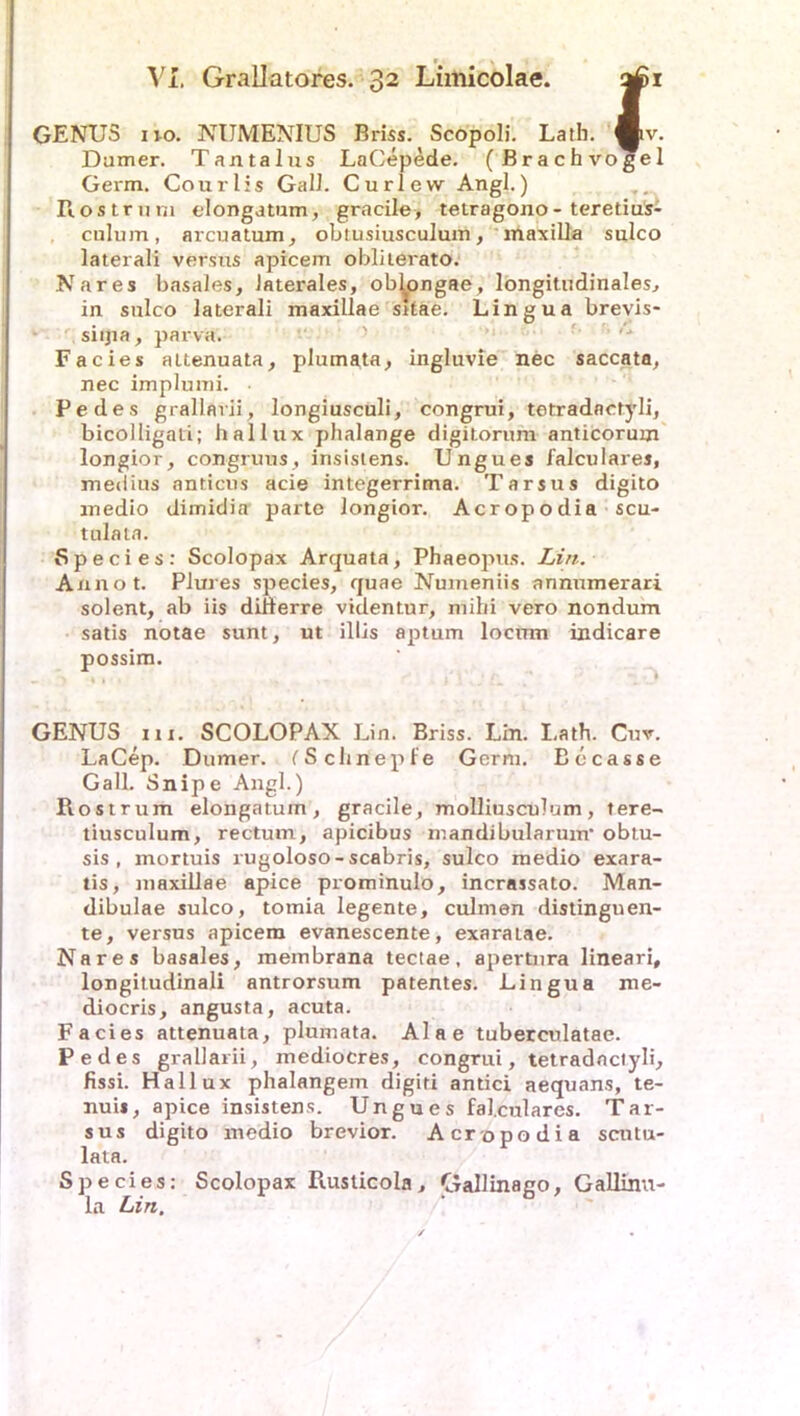 GENUS i io. NUMENIUS Briss. Scopoli. Lath. ^iv. Damer. Tantalus LaCepede. (Brachvogel Germ. Courlis Gal 1. Curlew Angl.) Ros tr uni elongatum, gracile, tetragono- teretius- culum, arcuatum, obtusiusculum, maxilla sulco laterali versus apicem obli terato. Nares basales, laterales, ob^ongae, longitudinales, in sulco laterali maxillae sitae. Lingua brevis- siijia, parva. Facies altenuata, plumata, ingluvie nec saccata, nec implumi. Pedes grallarii, longiusculi, congrui, tetradnctyli, bicolligati; hallux phalange digitorum anticorum longior, congruus, insislens. Ungues falculares, medius anticus acie integerrima. Tarsus digito medio dimidia parte longior. Acropodia scu- tulata. Species: Scolopax Arquata, Phaeopus. Lin. Annot. Plures species, quae Nmneniis annumerari solent, ab iis difterre videntur, mihi vero nondum satis notae sunt, ut illis aptum locmn indicare possim. GENUS in. SCOLOPAX Lin. Briss. Lin. Lath. Cuv. LaCep. Dumer. (Schnepfe Germ. Becasse Gail. Snipe Angl.) Rostrum elongatum, gracile, molliusculum, tere- tiusculum, rectum, apicibus mandibularunr obtu- sis , mortuis rugoloso-scabris, sulco medio exara- tis, maxillae apice prominulo, incrassato. Man- dibulae sulco, tomia legente, culmen distinguen- te, versus apicem evanescente, exaraiae. Nares basales, membrana tectae, apertnra lineari, longitudinali antrorsum patentes. Lingua me- diocris, angusta, acuta. Facies attenuata, plumata. Alae tuberculatae. Pedes grallarii, mediocres, congrui, tetradnctyli, fissi. Hallux phalangem digiti antici aequans, te- nuis, apice insistens. Ungues falculares. Tar- sus digito medio brevior. Acropodia scntu- lata. Species: Scolopax Rusticola, Gallinago, Gallinu- la Lin.