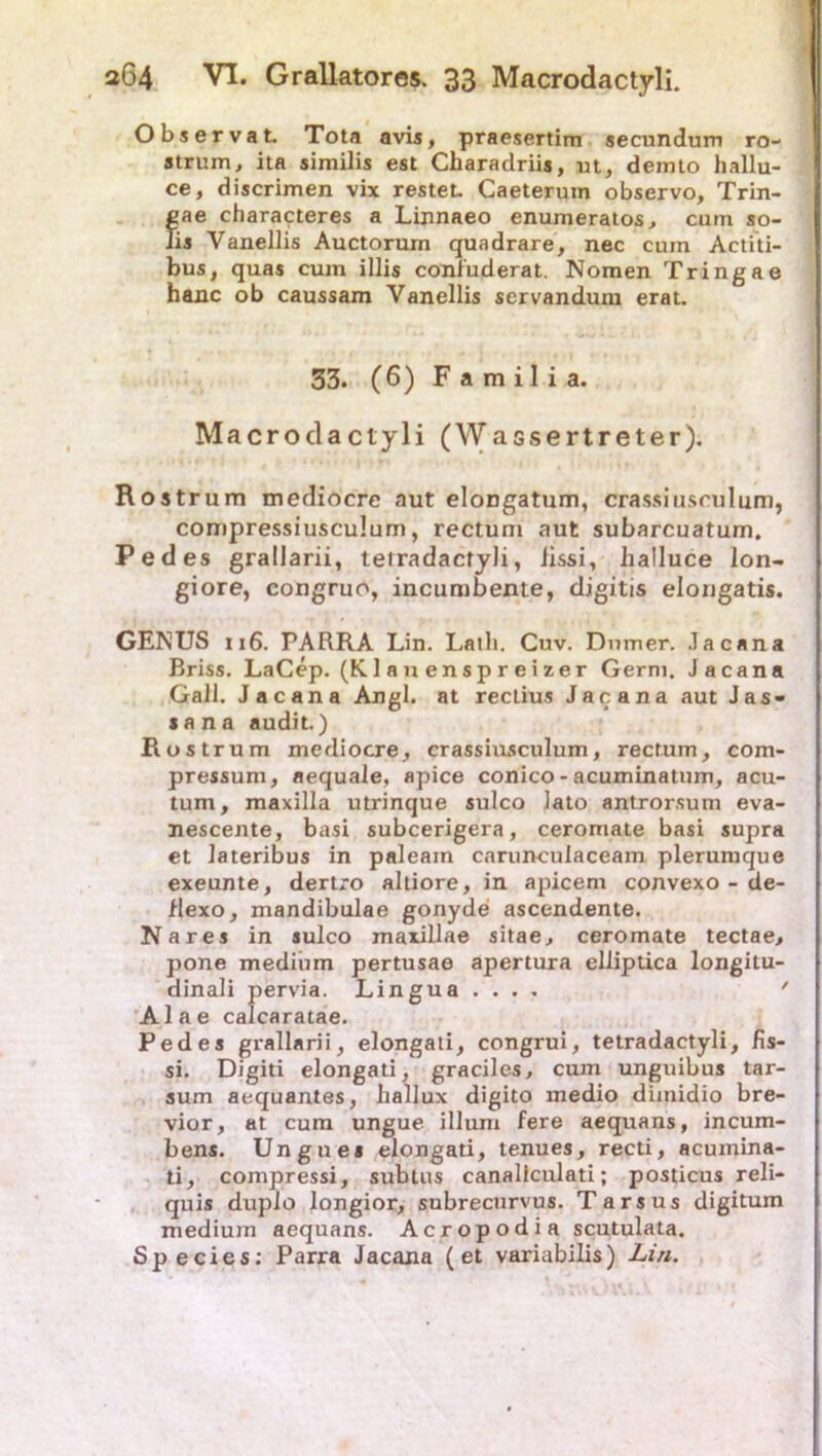 Observat. Tota avis, praesertim secundum ro- atrum, ita similis est Charadriis, ut, demto hallu- ce, discrimen vix restet. Caeteruin observo, Trin- cae characteres a Linnaeo enumeratos, cum so- lis Yanellis Auctorum quadrare, nec cum Actiti- bus, quas cum illis cönfuderat. Nomen Tringae haue ob caussam Yanellis servandum erat. 33. (6) F a m i 1 i a. Macrodactyli (Wassertreter). Rostrum mediocre aut elongatum, crassiusculum, compressiusculum, rectum aut subarcuatum. Pedes grallarii, tetradactyli, iissi, halluce lon- giore, congruo, incumbeme, digitis elongatis. GENUS ii6. PARRA Lin. Latli. Cuv. Dnmer. Jacana Briss. LaCep. (Klauenspreizer Germ. Jacana Gail. Jacana Angl, at rectius Jacana aut Jas- lana audit.) Rostrum mediocre, crassiusculum, rectum, com- pressum, aequale, apice conico - acuminatum, acu- tum, maxilla utrinque sulco lato antrorsum eva- nescente, basi subcerigera, ceromate basi supra et lateribus in paleam carunculaceam plerumque exeunte, dertro altiore, in apicem convexo - de- flexo, mandibulae gonyde ascendente. Na res in sulco maxillae sitae, ceromate tectae, pone medium pertusae apertura elliptica longitu- dinali pervia. Lingua ... . ' Alae caicaratae. Pedes grallarii, elongati, congrui, tetradactyli, fis- si. Digiti elongati, graciles, cum unguibus tar- sum aequantes, hallux digito medio dimidio bre- vior, at cum ungue illum fere aequans, incum- bens. Unguei elongati, tenues, recti, acumina- ti, compressi, subtus canallculati; posticus reli- quis dupio longior, subrecurvus. Tarsus digitum medium aequans. Acropodia scutulata. Species: Parra Jacana (et variabilis) Lin.
