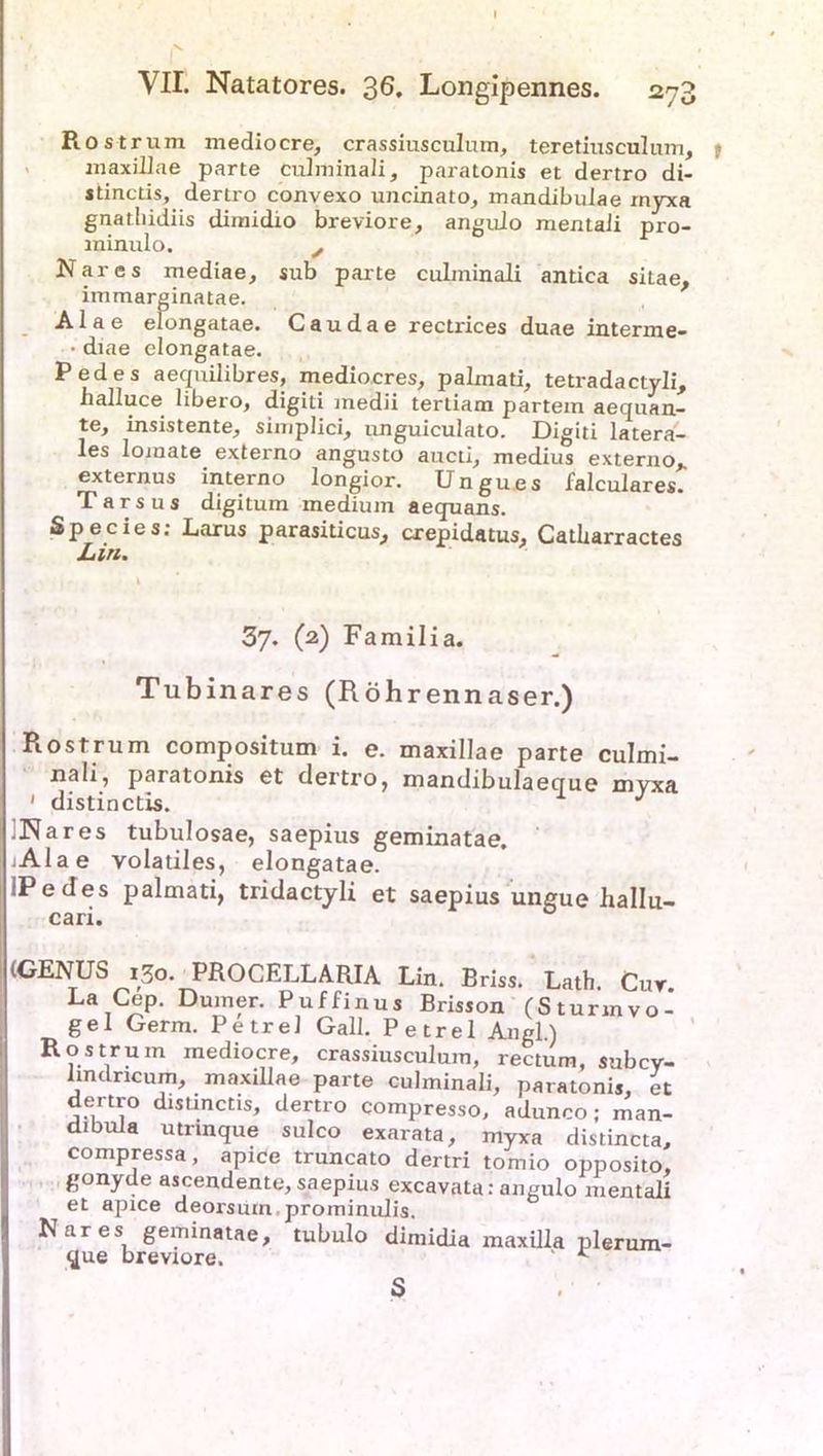 VII. Natatores. 36. Longipennes. 2^3 Rostrum mediocre, crassiusculum, teretiusculum, maxillae parte culminali, paratonis et dertro di- stinctis, dertro convexo uncinato, mandibulae myxa gnatliidiis dimidio breviore, angulo mentaJi pro- minulo. ^ Nares mediae, sub parte cubninali antica sitae, immarginatae. Alae elongatae. Caudae rectrices duae interme- • diae elongatae. Pedes aequilibres, mediocres, palmati, tetradactyli, balluce libero, digiti medii tertiam partem aequan- te, insistente, simplici, unguiculato. Digiti latera- les lomate externo angusto aucti, medius externo* externus interno longior. Ungu.es falculares. Tarsus digitum medium aequans. Species; Larus parasiticus, crepidatus, Catbarractes Lin. 37. (2) Familia. Tubinares (Röhrennaser.) Piosfrum compositum i. e. maxillae parte culmi- nali, paratonis et dertro, mandibulaeque myxa 1 distinctis. J .Nares tubulosae, saepius geminatae. Alae volatiles, elongatae. IPedes palmati, tridactyli et saepius ungue hallu- cari. (GENUS 130. PROCELLARIA Lin. Briss. Lath. Cur La Cep. Dumer. Puffinus Brisson (Sturmvo- gel Germ. Petrel Gail. Petrel Angl.) Rostrum mediocre, crassiusculum, rectum, subcy- lmdricum, maxillae parte culminali, paratonis, et dertro distinctis, dertro compresso, adunco; man- dibuia utnnque sulco exarata, myxa distincta, compressa, apice truncato dertri tornio opposito, gonyde ascendente, saepius excavata: angulo mentali et apice deorsutn.prominulis. Nares geminatae, tubulo dimidia maxilla plerum- que breviore. *■ S