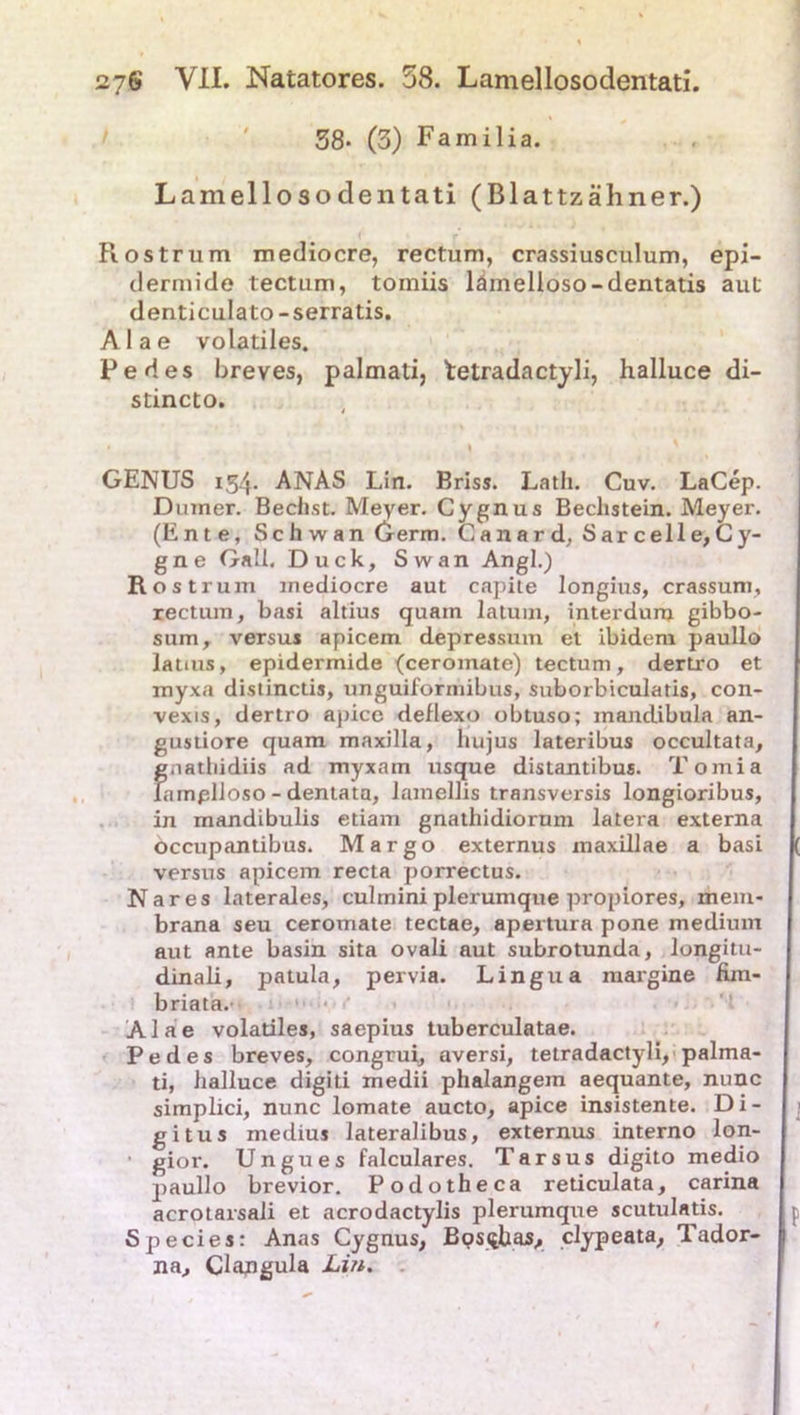 38* (3) Familia. Lamellosodentati (Blattzähner.) Rostrum mediocre, rectum, crassiusculum, epi- dermide tectum, tomiis lämelloso-dentatis aut denticulato-serratis. Alae volatiles. Pedes breves, palmati, tetradactyli, halluce di- stincto. GENUS 154. ANAS Lin. Briss. Lath. Cuv. LaCep. Dumer. Beeilst. Meyer. Cygnus Beclistein. Meyer. (Ente, Schwan Germ. Canard, Sarcelle, Cy- gne Gail. Duck, Swan Angl.) R ostrum mediocre aut capite longius, crassum, rectum, basi altius quam latum, interdurn gibbo- sum, versus apicem depressum et ibidem paullo latius, epidermide (ceromate) tectum, dertro et myxa distinctis, unguiformibus, suborbiculatis, con- vexis, dertro apice deflexo obtuso; mandibula an- gustiore quam maxilla, hujus lateribus occultata, g.iathidiis ad myxam usque distantibus. Tomia lamplloso - dentata, lamellis transversis longioribus, in mandibulis etiam gnathidiorum latera externa occupantibus. Margo externus maxillae a basi versus apicem recta porrectus. Nares laterales, culmini plerumque propiores, mein- brana seu ceromate tectae, apertura pone medium aut ante basin sita ovali aut subrotunda, longitu- dinali, patula, pervia. Lingua margine fim- briata. Alae volatiles, saepius tuberculatae. Pedes breves, congrui, aversi, tetradactyli, palma- ti, halluce digiti medii phalangem aequante, nunc simplici, nunc lomate aucto, apice insistente. Di- gitus medius lateralibus, externus interno lon- ■ gior. Ungues falculares. Tarsus digito medio paullo brevior. Podotheca reticulata, carina acrotaisali et acrodactylis plerumque scutulatis. Species: Anas Cygnus, Bpsqbas, elypeata, Tador- na, Clangula Lin.