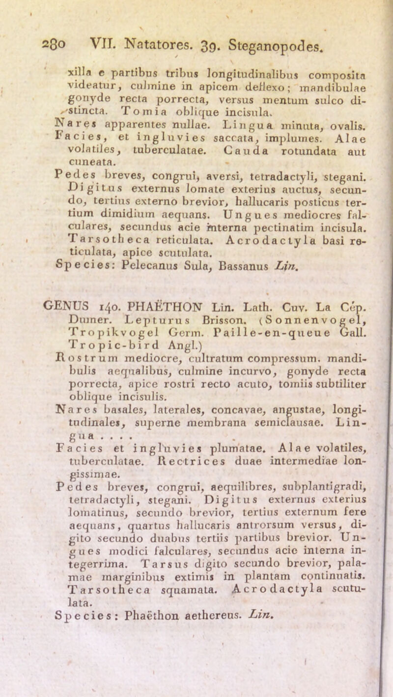 xilla e partibus tribus longitudinalibus compositn videatur, cuhnine in apicem deflexo; mandibulae gonyde recla porrecta, versus inentum sulco di- ,-stincta. Tomia oblique incisula. Na res apparentes nullae. Lingua minuta, ovalis. I'acies, et ingluvies saccata, implumes. Alae volatiles, Luberculatae. Cauda rotundata aut cuneata. Pedes breves, congruq aversi, tetradactyli, stegani. Digitus externus Jomate exterius auctus, secun- do, tertius externo brevior, hallucaris posticus ter- tium dimidium aequans. Ungues inediocres fal- culares, secundus acie mterna pectiriatim incisula. Tarsotheca reticulata. Acrodactyla basi re- ticulata, apice scutulara. Species: Pelecanus Sula, Bassanus Lin. GENUS 140. PHAETHON Lin. Lath. Cuv. La Cep. Dmner. Lepturus Brisson. (Sonnenvogel, Tropikvogel Germ. Paille-en-queue Gail. Tropic-bird Angl.) Rostrum mediocre, cultratum compressum. mandi- bulis aequalibus, culmine incurvo, gonyde recta porrecta, apice rostri recto acuto, toiniis subtiliter oblique incisulis. Na res basales, laterales, concavae, angustae, longi- tudinales, superne membrana seiniclausae. Lin- gua ... . Facies et ingluvies plumatae. Al a e volatiles, tuberculatae. Rectrices duae intermediae lon- gissimae. Pedes breves, congrui, aequilibres, subplantigradi, tetradactyli, stegani. Digitus externus exterius lomatinus, secundo brevior, tertius externum fere aequans, quartus hallucaris antrorsum versus, di- gito secundo duabus tertiis partibus brevior. Un- gues modici falculares, secundus acie interna in- tegerrima. Tarsus digito secundo brevior, pala- mae inarginibus extirriis in plantam continuatis. Tarsotheca squamata. Acrodactyla scutu- lata. Species: Phaethon aethereus. Lin.