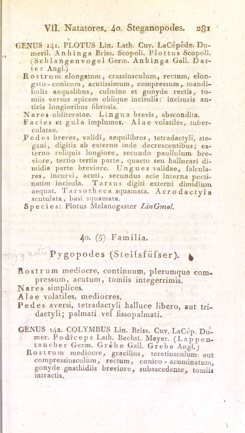 i * GENUS 141. PLOTUS Lin. Lath. Cuv. LaCepede. Du- meril. Anhinga Briss. Scopoli. Plottus Scopoli. , (Sclilangenvogel Germ. Anhinga Gail. D ar- te r Angl.) Rostrum elongatum, crassiusculum, rectum, elon- gato - conicum, acutissimum, compressum,. mandi- bulis aequalibus, culmine et gonyde rectis, to- miis versus apicem oblique incisulis: incisuris an- ticis longioribus fibrosis. Nares obliteratae. Lingua brevis, abscondila. Facies et gula implumes. Alae volatiles, tuber- culatae. JPedes breves, validi, aequilibres , tetradactyli, ste- gani, digitis ab externo inde decrescentibus; ex- terno reliquis longiore, secundo paullulum bre- viore, tertio tertia parte, quarto seu hallucari di- midia parte breviore. Ung u e s validae, falcula- res, incurvi, acuti, secundus acie interna pecti- natim incisula. Tarsus digiti externi dimidium aequat. Tarsotheca squamata. Acrodactyla scutulata, basi squamata. Species: Plotus Melanogaster LinGmel. 40. (5) Familia. Pyg°p°des (Steilsfiifser). k Rost rum mediocre, continuum, plerumque com- pressum, acutum, tomiis integerrimis. Nares simplices. x 1 Alae volatiles, mediocres. Pedes aversi, tetradactyli halluce libero, aut tri- dactyli; palmati vel fissopalmati. GENUS 142. COLYMBUS Lin. Briss. Cuv. LaCep. Du- mer. Podiceps Lath. Bechst. Meyer. (Lappen- taucher Germ. Grebe Gail. Grebe Angl.) Rost rum mediocre, gracilius, teretiusculum aut compressiuscuium, rectum, conico - acuminatum, gonyde gnathidiis breviore, subascedente, tomiis intractis.