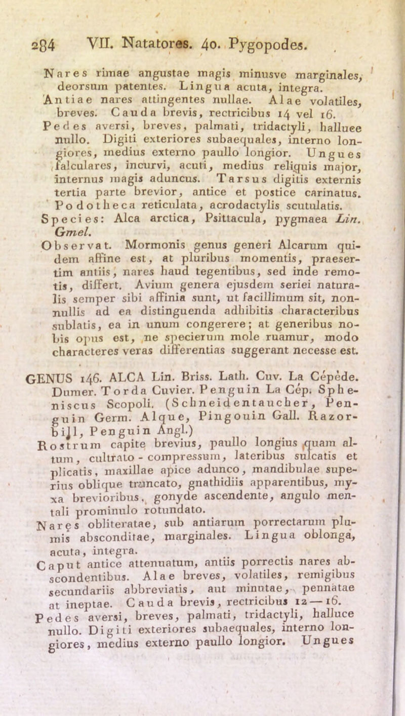 Nares rhnae angustae magis minusve marginales, deorsuin patentes. Lingua acuta, integra. Antiae nares attingentes nullae. Alae volatiles, breves. Cauda brevis, rectricibus 14 vel 16. Pedes aversi, breves, palmati, tridactyli, halluee jiullo. Digiti exteriores subaequales, interno lon- giores, medius cxterno paullo longior. Ungues Talculares, incurvi, acuti, medius reliquis major, internus magis aduncus. Tarsus digitis externis tertia parte brevior, antice et postice carinatus. Podotlieca reticulata, acrodactylis scutulatis. Species: Alca arctica, Psittacula, pygmaea Lin. Gmel. Observat. Mormonis genus generi Alcarum qui- dem affine est, at pluribus momentis, praeser- tim antiis, nares haud tegentibus, sed inde remo- tis, diifert. Avium genera ejusdem seriei natura- Jis semper sibi afFinia sunt, ut facillimum sit, non- nullis ad ea distinguenda adliibitis characteribus sublatis, ea in unum congerere; at generibus no- bis opus est, ne specieruin mole ruamur, modo characteres veras differentias suggerant necesse est. GENUS 146. ALCA Lin. Briss. Lath. Cuv. La Cepede. Dumer. Tor da Cuvier. Penguin La Cep. Sph e- niscus Scopoli. (S ch neid en t auch er , Pen- guin Germ. Alque, Pingouin Gail. Razor- bijl, Penguin Angl.) Rostrum capite brevius, paullo longius quam al- tum, cultrato - compressum, Jateribus sulcatis et plicatis, maxillae apice adunco, mandibulae supe- rius oblique trancato, gnathidiis apparentibus, my- xa brevioribus, gonyde ascendente, angulo men- tali prominulo rotundato. Nares obliteratae, sub antiarum porrectarum plu- mis absconditae, marginales. Lingua oblonga, acuta, integra. Caput antice attenuatum, antiis porrectis nares ab- scondentibus. Alae breves, volatiles, reinigibus secundariis abbreviatis, aut minutae, pennatae at ineptae. Cauda brevis, rectricibus 12—16. Pedes aversi, breves, palmati, tridactyli, halluee nullo. Digiti exteriores subaequales, interno lon- giores, medius externo paullo longior. Ungues