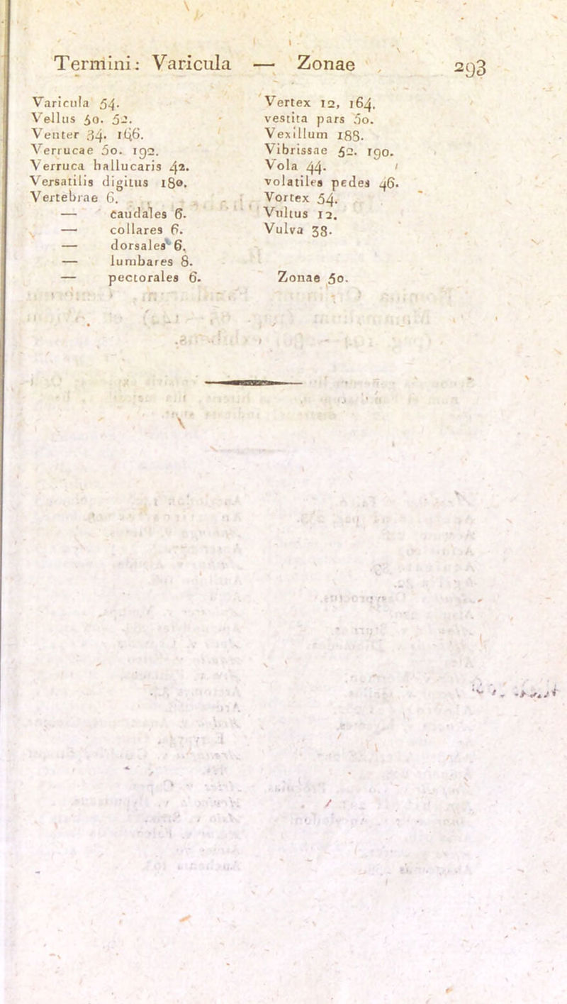 \ Termini; Varicula — Zonae Varicula 54- VeJlus 50. 52. Venter 3q. 1(46. Verrucae 5o. 132. Verruca ballucaris 42* Versatilis digitus 18®. Vertebrae 6. — caudales 6. — collares 6. — dorsales'6. — lumbares 8. — pectoralea 6. ’ ■' . : ' r ■  Vertex 12, 164. vestita pars 5o. Vexlllum 18S. Vibrissae 52. igo. Vota 44- •volatiles pedes q6- Vortex 54. Vulius 12. Vulva 33. Zonae 5®. 293 ‘v >,