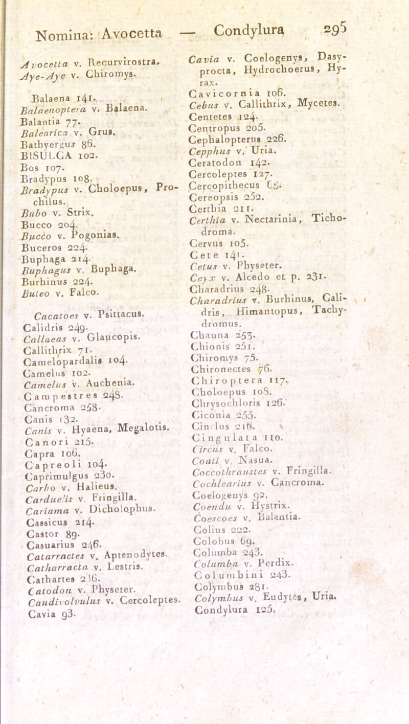 Nomina: Avocetta Avocetta v. Recurvirostra. Aye-Aje v. Ghiromys. Balaena i41 * BalaenopCeia v. Balaena. Balantia 77. Balcarica v. Grus. Bathyers>uj 86. BlSULGA 102. Bos 107. Bradypus ioß. Bradj pus v. Cboloepus, Pro cbilus. Bubo v. Strix. Bucco 204. Bßcco v. Pogonias. Buceros 224- Bupbaga 214. Buphagus v. Bupbaga. Burhinus 224. ßuleo v. Falco. Cacatoes v. Psiltacus. Calidris 249- Callaeas v. Glaucopis. Callitbrix 71. Came lopardalis 104. Camelus 102. Camclus v. Aucbenia. Campestres 248- Cancroma 258- Canis i32. . Cnnis v. Hyaena, Megalotts. Canori 2l5. Capra 106. Capreoli I o4 • Caprimulgus 23o. Carbo v. Halieus. Cardueüs v. Fringilla. Cariama v. Dicholo.pbus. Cassicus 2i4- Castor 89- Casuarius 246. Caiarractes v. Aptenodytes. Cailiarracla v. Lestris. Catbartes 216. Cacodon v. Physeter. Caudivolvulus v. Cercoleptes. Cavia g3- — Condylura 2^5 ) Cavia v. Coelogenya, Dasy- procta, Hydrocboerus, Hy- rax. Cavicornia 106. Cebus v. Callithrix, Mycetes. Centetes 124. Gentropus 2o5. Cepbalopterus 226. Cepphus v. Uria. Ceratodon 142. Cercoleptes 127. Cercopitbecus C6- Cereopsis 252. Certbia 211. Crrlhia v. Nectarinia, Ticbo- droma. Cervus io5. C et e 141. Celus v. Pbysoter. Ceyx v. Alcedo et p. 231. Cbaradrius 248- Cliaradrius x. Burbinus, Cali- v dris, Himantopus, Tacby- dromus. Cbauna 253. Cbionis 25t. Ghiromys 75. Chironectes 76. Chiroptera 117- Cboloepus 10S. Cbrysochloris 126.' Ciconia 255- Gin' Ins 21Ö. Ging u lata I to. Circus v. Falco. CoaLl v. Nasua. Coccol/iraustcs v. Fringilla. Cochlcarius v. Cancrouia. Coelogenys 92. Coendu v. Hystrix. Coescoes v. Balantia. Colius 222. Colobus 69. Columba 243. Columba v. Pcrdix. Coltimbini 243. Colymbus 281- Colymbus v. Eudytcs, Uria. Condylura 125. \
