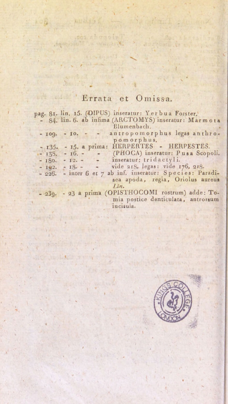 - £# •Ä* ^ \ v .». - V 1 V Errata et Omissa. pag. 8l- Hn. l5- (DIPUS) inseratur: Yerbua Förster. - 84- lim 6. ab infima (ARCTOMYS) inseratur: Marraota ßlumenbacli. - iog. - io. - - antropomorphus legas anthro- pomorphus, - i35. - 15. a prima: HERPERTES - HERPESTES. - 138. - 16. - - (PHOCA) inseratiir: Pusa Scopoli. - 180. - 12. - - inseratur: triclactyli. - 192. - 18* - - viele 218, legas: vide 176, 218- - 226. - inter 6 et 7 ab inf. inseratur: Species: Paradi- sca apoda, regia, Oriolus aureus Lin. - a3g. - 23 a prima (OPISTHOCOMI rostrum) adde: To- ( ' mia postice denticulata, antroraum incisula. t