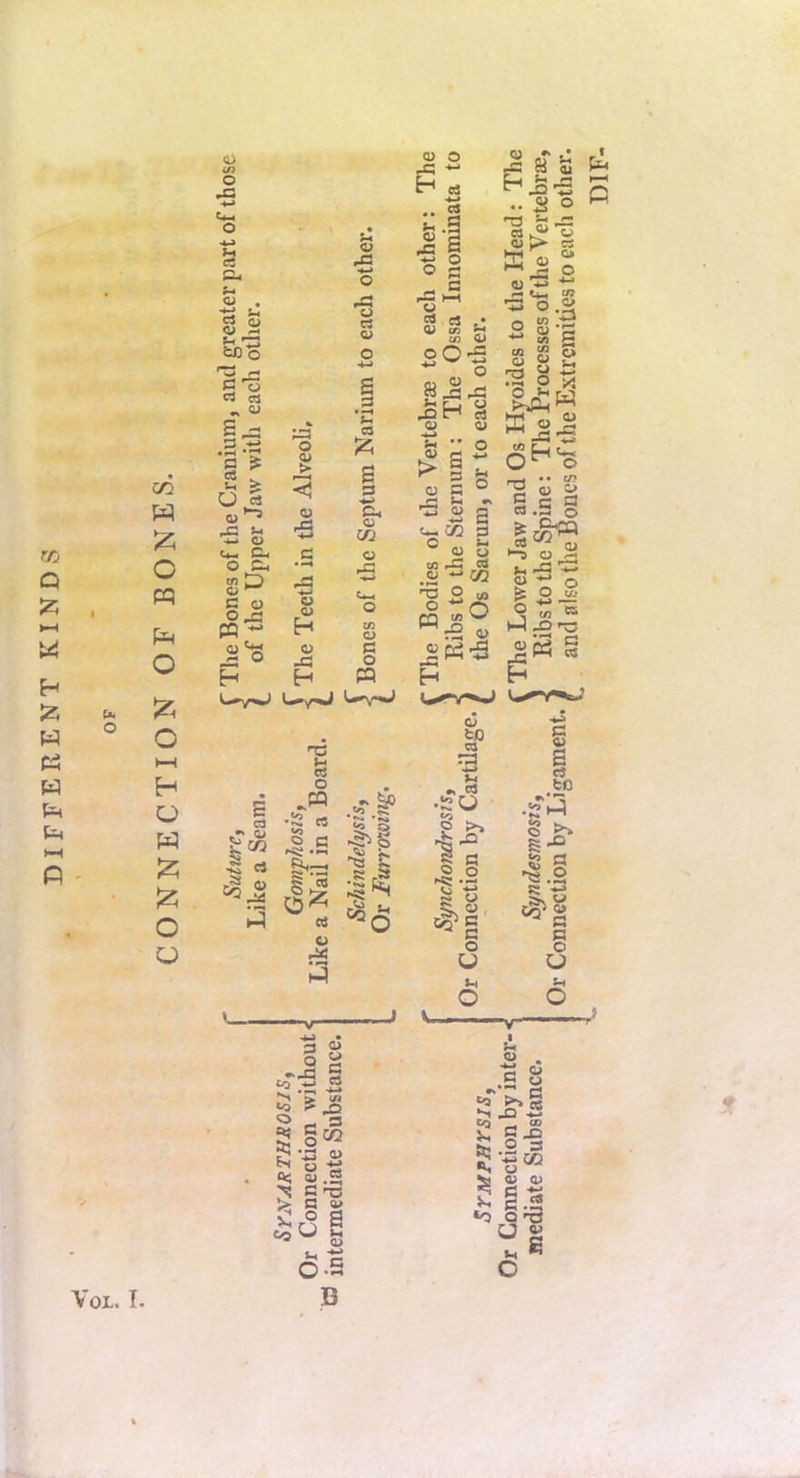 CONNECTION OF BONES. in O Cm O rt c3 G1 <y M 'I'S C3 oj •2-s S ^ U 5 <u •w O Cm 0>4 O Cm cf) ^ O ^ C O o ^ m Si's H .c *- H 0 01 > CJ 0 (U H 01 x: H o Xi 'S rt s ;3 C3 ;2i s 3 Ch u i/3 o .3 !/3 a C o « ns rt o P c ca OI 03 Ip CO S 2 c: §>« oj u xt ;:3 C3 -«—< 2 I s 0 2 ^ M rP >—H u p c3 ,•  S ^ OO-S ^ r, O XJ rt <u 1 s o g rP Si (U o 4M ;h •5 -S 5 S ^ i: S r»* ^O t4-i 02 3 ° 3 b ^ O <o o O :2 <u 2P^-5 H u fco ca 3 •> '? ■i^Q <<i 3 >» ■S; -p o o *M G =g>i' o U >H o <U ^ -* i-c 8J 3 ^ _a ^ .. Si o ^ ^ r* ^ « 0 P> « W P o dj 'CS <2 ^ Sf? •so ^ t/> '*** 2 S‘s c/) S JiS ^ o X 2 .fi -P w Ph t*-c O^ o 1 S a A O 2 *1 rS 2 o ^ 2 -S£ o » P M -D'^ sS « P O s c3 _to vT i_3 •t** * * § ^ 5-“ 5 S ,2 t?>g P o O 3 O o c •> J3 5 .-e i2 ■N «o <o S' ft; « VoL. I. > tfi ^ P5 - 3 go2 i3 3 g .3 C ^ 3 V 3 s 0> C-S B <u . ■p o .5 P oT ^ C *0 PS JD S }.. p .p te.2 P S’ ■« CO fti o ^ O) o> P -P p.a *o Q ns O E c
