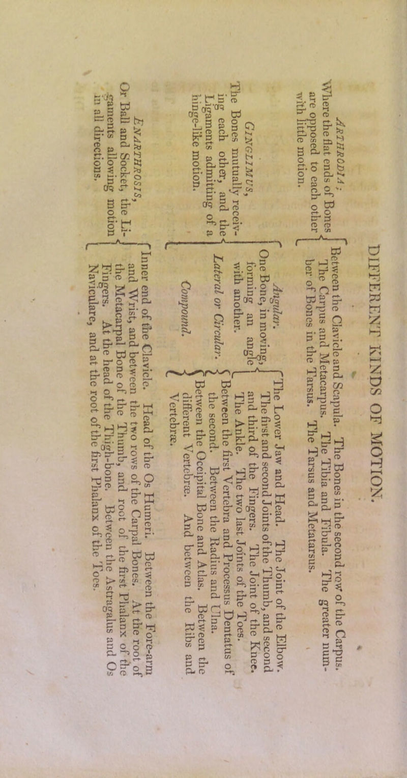 irections. J Navicularcj and at the root of the first Pnalanx o ■ 9 -PM c-S p p , ecy: S’ ^ o ,5 2. Co CT5 ^ Co 3 O L* » r 3 P =3 ►3 <t) ^ 3 hTP- Si’ P p a* o n re P r*- < « 3‘ re 5-* re re 3 • p. cfl w) re c/> re 3 3’re 3 rP'Cf5 re a re o r-N. j-S e 3 C5 3i 2 2- re n» ^ 3 p 2- ?i ^ o Oj a- 3 I:;- o'g ^ g ^ ^ w«># w o 'I S Co -Tj 3: N-. — 3 re >!> 2 S m 2. P re P P> >-» <-► ^ 3- — w 3 O re 3 p re ^ o o 3:< S' ^ hi S' ^ o - 3. c ^ O w 3 1:5 3^ — O r» t cr < sr o* m re § 3 S.O S' M ►I re i-M •-1 re 3’ r» 2 3- ^ 3“ O o ^reChSr:- O . — re 35 o *- C/} P 3- L> <-♦ og p s^r ^ Si-pT-^ P 3 CTm  X ^ c p 1=1 3 C o 3 5!, C^o 3 Vj O h*) t~> re re K p § P- re ^ p I- ^ M» P’ re re tx* ^ O re Pt'd p' ® re t« w re 3 C- o 3 S' re 33 p r t»3 !i; o s b CL, K, 2 ^ o W S' 3 re o >-S U1 /^- ,. ■ . w . 3 -1 2 re cr^ >1-* re. ►1 — re £ P j_, S' ^ re o 3 ih I ►'^P-§ C/I <-t^ C/3 , W''* HS^o » ,re <|?re g 3 ^ ^ Z ' O f-^ »—• rr^ , ft) O ^ 3 C-H ►-M S'© eg o, re Cl P tP re 3 ^ re p 2 ' < H ^ 2. 3- s .s^^?2 S ^ o o p re 2. o — a* s ^ ::^s‘s 2 CL, c p- re- 3 P 3 S r f-f C/J O • »-H 3 W o re s' O 3 re P- js S re cr re o 3 ^ O cr re 5 re — S O ” g -r>OS rrf s §3 2 “ Q 3 3’3 ± re 0^ O re p nJre ^ St pj 5“ re re 2 C/> P s ^ e/» c/:^ ri P 3 c/2 d • s' P uJ ^ *-5 M 05 c cr o S’ 3 ^ fD c/> P rr P >-^ • «=-g,s re hr) S' re ^5 re ^ o' c/> re 3 re P rr re re P O 2 ■ S C re. rn ►— S3 re ^ OQ 2, f2 ri- ?i re 2 o « f=* 3 re 3 ‘S 3 3 I • DIFFERENT KINDS OF MOTION.