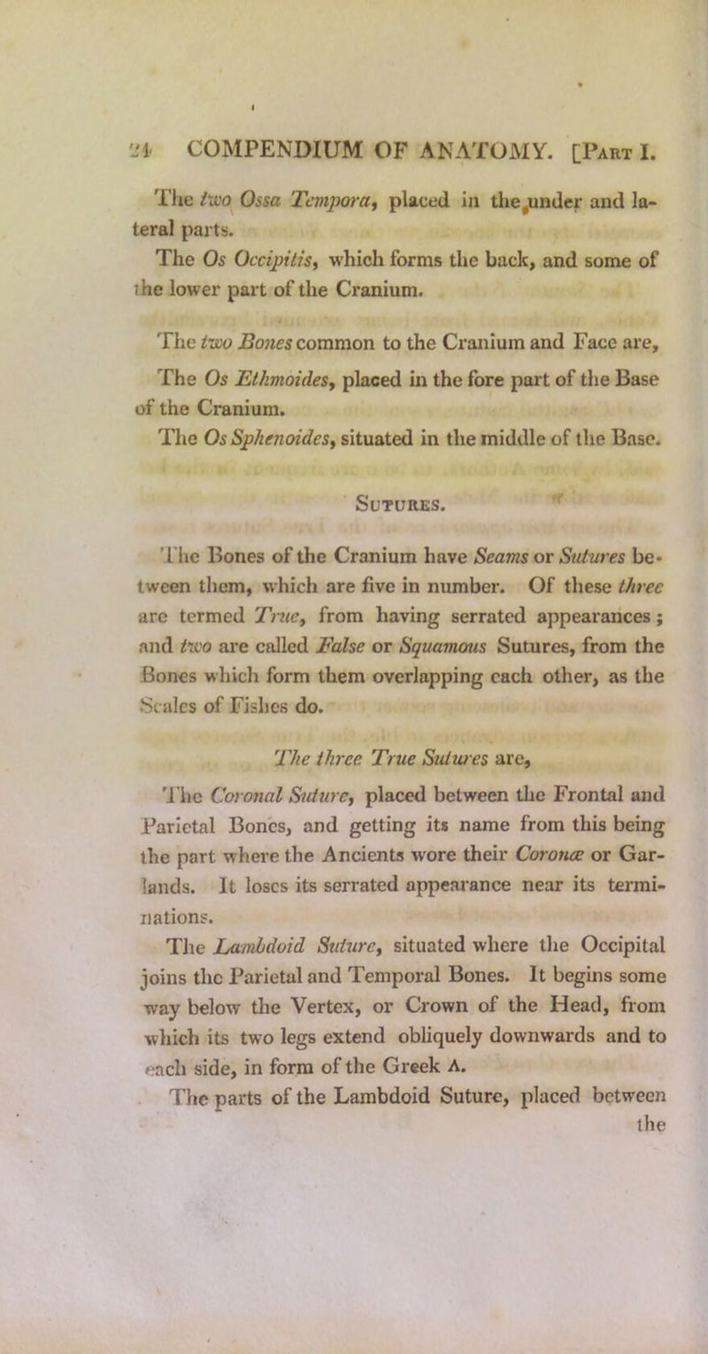 The iwo Ossa Tcmpora^ placed in the,under and la- teral parts. The Os Occipttisy which forms the back, and some of t he lower part of the Cranium. The two Bones common to the Cranium and Face are. The Os EtkmoideSy placed in the fore part of the Base of the Cranium. The Os Sphenoidesy situated in the middle of the Base. Sutures. The Bones of the Cranium have Seams or Sutures be- tween them, which are five in number. Of these three are termed TniCy from having serrated appearances; and two are called False or Squamous Sutures, from the Bones which form them overlapping each other, as the Scales of Fishes do. The three True Sutures are, 'i’he Coronal Suturcj placed between the Frontal and Parietal Bones, and getting its name from this being the part where the Ancients wore their Coronce or Gar- lands. It loses its serrated appearance near its termi- nations. The Lamhdoid Stiiurcy situated where the Occipital joins the Parietal and Temporal Bones. It begins some way below the Vertex, or Crown of the Head, from which its two legs extend obliquely downwards and to each side, in form of the Greek A. The parts of the Lambdoid Suture, placed between