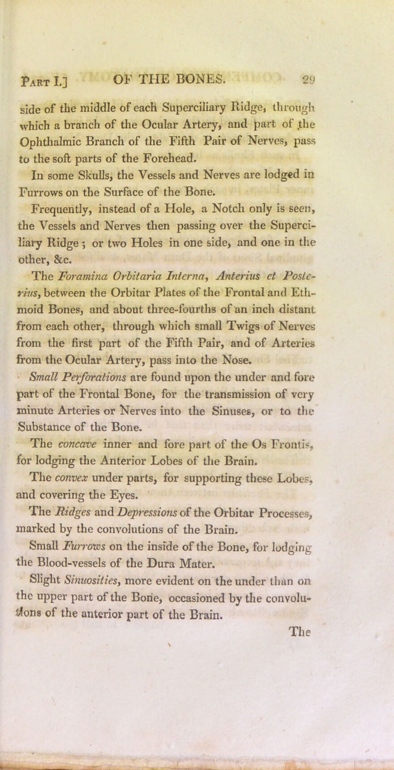side of the middle of each Superciliary Ridge, through which a branch of the Ocular Artery, and part of .the Ophthalmic Branch of the Fifth Pair of Nerves, pass to the soft parts of the Forehead. In some Skulls, the Vessels and Nerves are lodged in Furrows on the Surface of the Bone. Frequently, instead of a Hole, a Notch only is seen, the Vessels and Nerves then passing over the Superci- liary Ridge •, or two Holes in one side, and one in the other, &c. The Foramina Orbitaria Interna^ Anteriiis et Poslc~ riusy between the Orbitar Plates of the Frontal and Eth- moid Bones, and about three-fourths of an inch distant from each other, through which small Twigs of Nerves from the first part of the Fifth Pair, and of Arteries from the Ocular Artery, pass into the Nose. • Small Perforations are found upon the under and fore part of the Frontal Bone, for the transmission of very minute Arteries or Nerves into the Sinuses, or to the Substance of the Bone. The concave inner and lore part of the Os Frontis, for lodging the Anterior Lobes of the Brain. The convex under parts, for supporting these Lobe?, and covering the Eyes. ' The Ridges and Depressions of the Orbitar Processes, marked by the convolutions of the Brain. Small Fuiro'ws on the inside of the Bone, for lodging the Blood-vessels of the Dura Mater. ' ' Slight Sinuosities, more evident on the under than on the upper part of the Bone, occasioned by the convolu- tions of the anterior part of the Brain.
