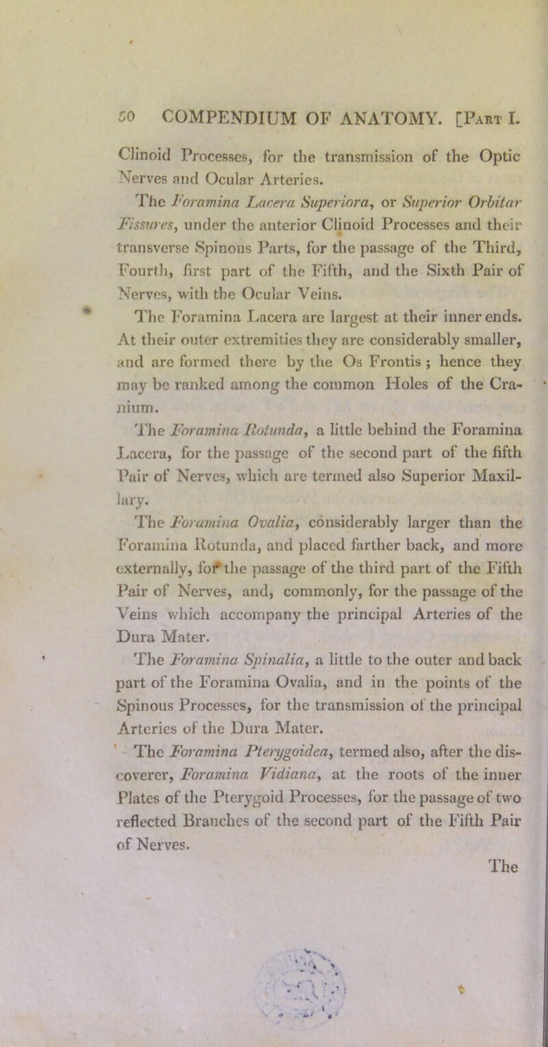 CHnoid Processes, for the transmission of the Optic Nerves and Ocular Arteries. The Foramina Lacera Supcriora, or Superior Orbitar Fissures, under the anterior Clinoid Processes and their transverse Spinous Parts, for the passage of the Third, Fourih, first part of the Fifth, and the Sixth Pair of Nerves, with the Ocular Veins. The Foramina Lacera arc largest at their inner ends. At their outer extremities they are considerably smaller, and are formed there by the Os Frontis ; hence they may be ranked among the common Holes of the Cra- nium. 'I'he Foramina Rotunda, a little behind the Foramina J.accra, for the passage of the second part of the fifth Pair of Nerves, which are termed also Superior Maxil- lary. The Foramina Ovalia, considerably larger than the Foramina Rotunda, and placed farther back, and more externally, foi^the passage of the third part of the Fifth Pair of Nerves, and, commonly, for the passage of the Veins which accompany the principal Arteries of the Dura Mater. The Foramina Spinalia, a little to the outer and back part of the Foramina Ovalia, and in the points of the Spinous Processes, for the transmission of the principal Arteries of the Dura Mater. The Foi'amina Plerygoidea, termed also, after the dis- coverer, Foramina Vidiana, at the roots of the inner Plates of the Pterygoid Processes, for the passage of two reflected Branches of the second part of the Fifth Pair of Nerves.