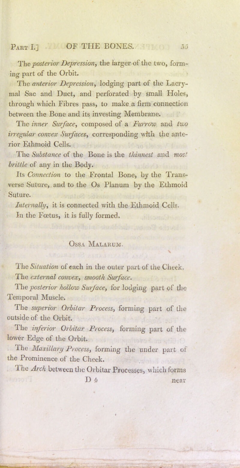 The posterior Depression, the larger of the two, form- ing part of the Orbit. The anterior Depression, lodging part of the Lacry- mal Sac and Duct, and perforated by small Holes, through whicli Fibres pass, to make a firm connection between the Bone and its investing Membrane. The inner Surface, composed of a Fw'row and in:o hregular convex Surfaces, corresponding with the ante- rior Ethmoid Cells. The Substance of the Bone is the thinnest and most brittle of any in the Body. Its Connection to the Frontal Bone, by the Trans- verse Suture, and to the Os Planum by the Ethmoid Suture. Internally, it is connected with the Etlimoid Cells. In the Foetus, it is fully formed. Ossa Malaruw. \ The Situation of each in the outer pai-t of the Cheek. The external convex, smooth Surface. The posterior hollow Surf ace, for lodging part of die Temporal Muscle. The superior Orbitar Process, forming part of the outside of the Orbit. The inferior' Orbitar Process, forming part of the lower Edge of the Orbit. . 1 he Maxillary Process, forming the under part of the Prominence of the Cheek. 1 he Arch between the Orbitar Processes, which forms D d< near