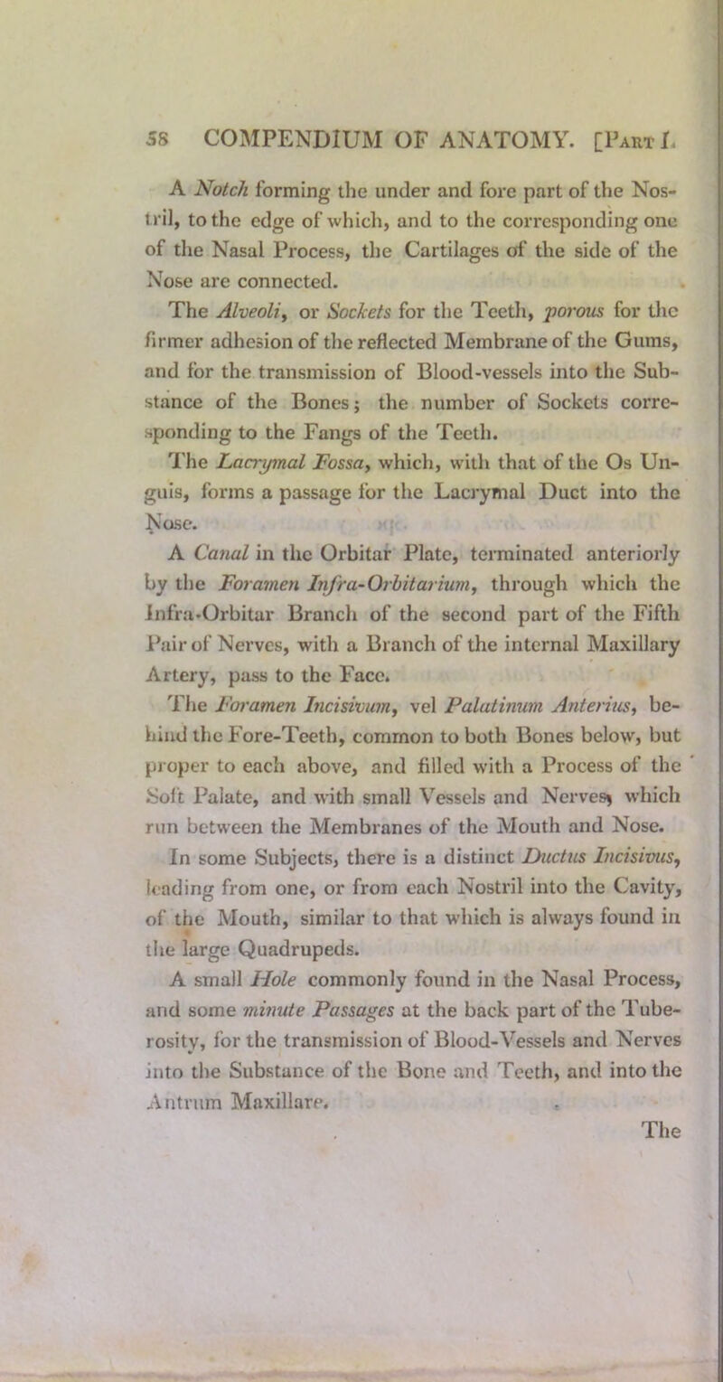 A Notch forming the under and fore part of the Nos- tril, to the edge of which, and to the corresponding one of the Nasal Process, the Cartilages of the side of the Nose are connected. The Alveoli^ or Sockets for the Teetli, porom for the firmer adhesion of the reflected Membrane of the Gums, and for the transmission of Blood-vessels into the Sub- stance of the Bones; the number of Sockets corre- sponding to the Fangs of the Teeth. The Lacrymal Fossuy which, with that of the Os Un- guis, forms a passage for the Lacrymal Duct into the Nose. A Canal in the Orbitar Plate, teiTninated anteriorly by the Foramen iTifra-Orbitarium, through which the infra-Orbitar Branch of the second part of the Fifth I’air of Nerves, with a Branch of the internal Maxillary Artery, pass to the Face. The Foramen Incisivimj vel Palatinum AnterniSy be- hind the Fore-Teeth, common to both Bones below, but proper to each above, and filled witli a Process of the Soft Palate, and with small Vessels and Nerves^ w'hich run between the Membranes of the Mouth and Nose. In some Subjects, there is a distinct Ductns Incisimis, leading from one, or from each Nostril into the Cavity, of the Mouth, similar to that which is always found in the large Quadrupeds. A small Hole commonly found in the Nasal Process, and some minute Passages at the back part of the Tube- rosity, for the transmission of Blood-^'^essels and Nerves into the Substance of the Bone and Teeth, and into the Antrum Maxillare.