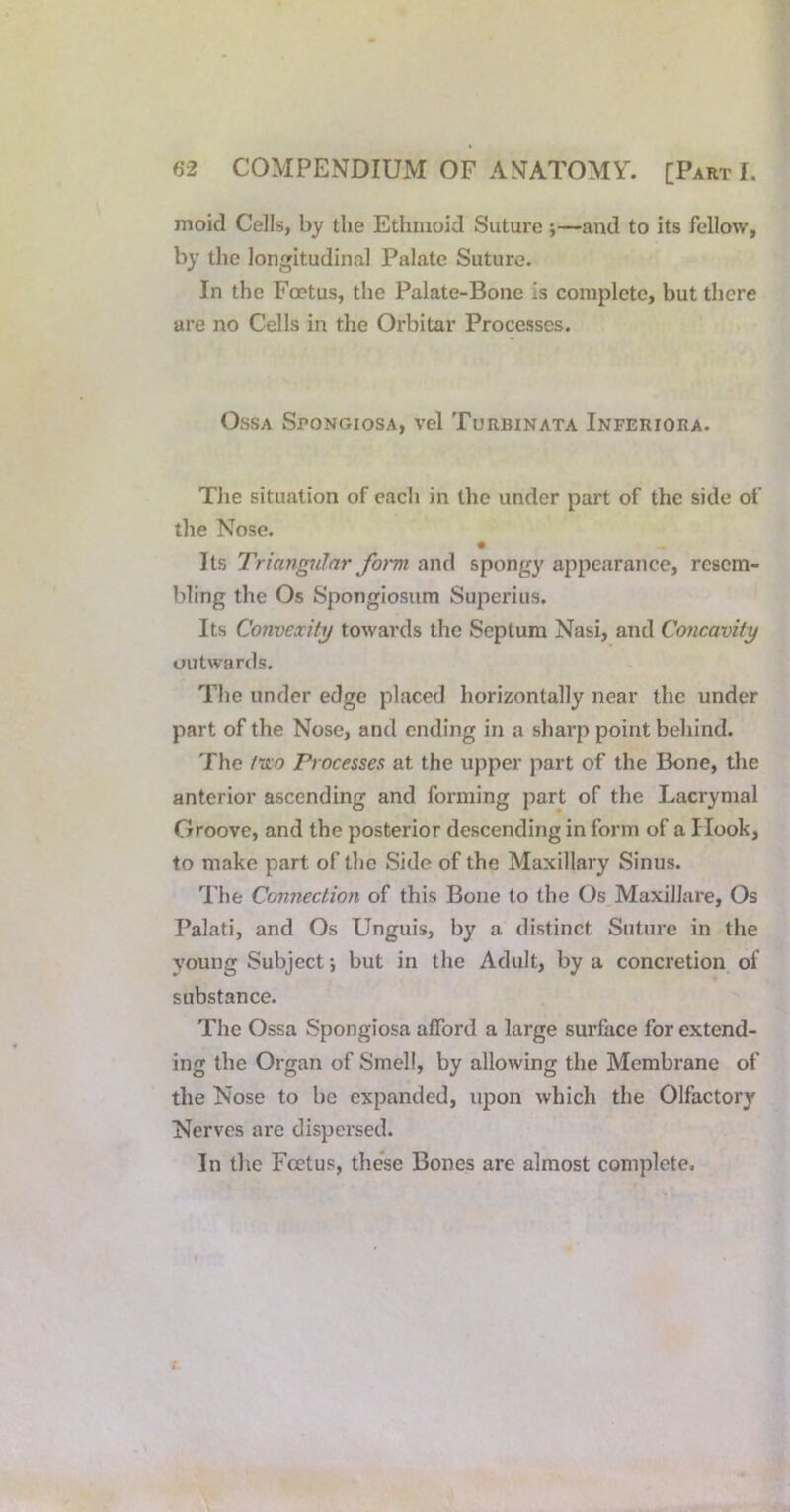 mold Cells, by the Ethmoid Suture ;—and to its fellow, by the longitudinal Palate Suture. In the Fcptus, the Palate-Bone is complete, but there are no Cells in the Orbitar Processes. Ossa Spongiosa, vel Turbinata Inferiora. The situation of each in the under part of the side of the Nose. Its Triangular form and spongy appearance, resem- bling the Os Spongiosum Superius. Its Convexity towards the Septum Nasi, and Concavity outwards. The under edge placed horizontally near the under part of the Nose, and ending in a sharp point behind. The /ifo Processes at the upper part of the Bone, the anterior ascending and forming part of the Lacrymal Groove, and the posterior descending in form of a Hook, to make part of tlie Side of the Maxillary Sinus. I'he Connection of this Bone to the Os Maxillare, Os Palati, and Os Unguis, by a distinct Suture in the young Subject; but in the Adult, by a concretion of substance. The Ossa Spongiosa afford a large surface for extend- ing the Organ of Smell, by allowing the Membrane of the Nose to be expanded, upon which the Olfactory Nerves are dispersed. In the Foetus, the'se Bones are almost complete.