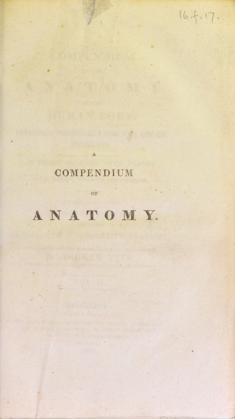 J • 117 COMPENDIUM ANATOMY. v. - ‘ .