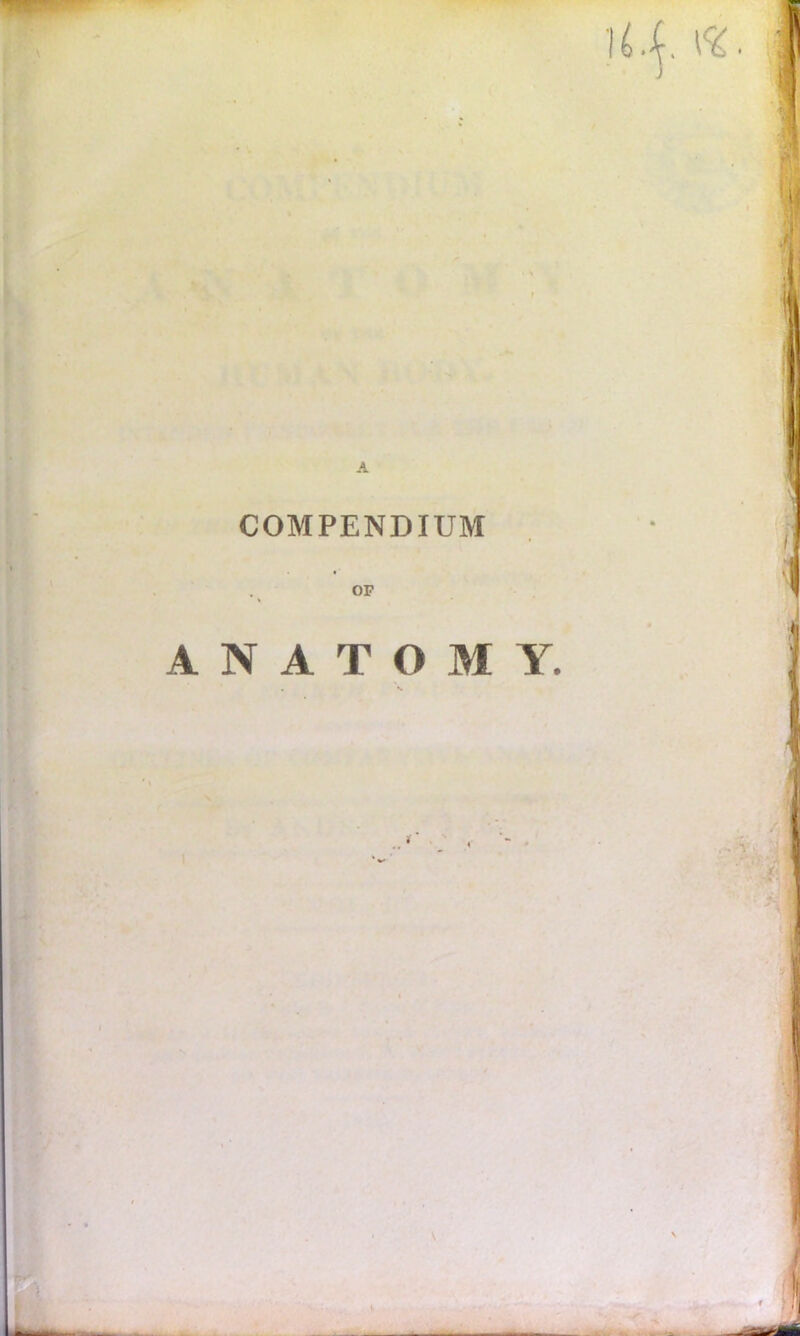 ) A COMPENDIUM ANATOMY. . *.