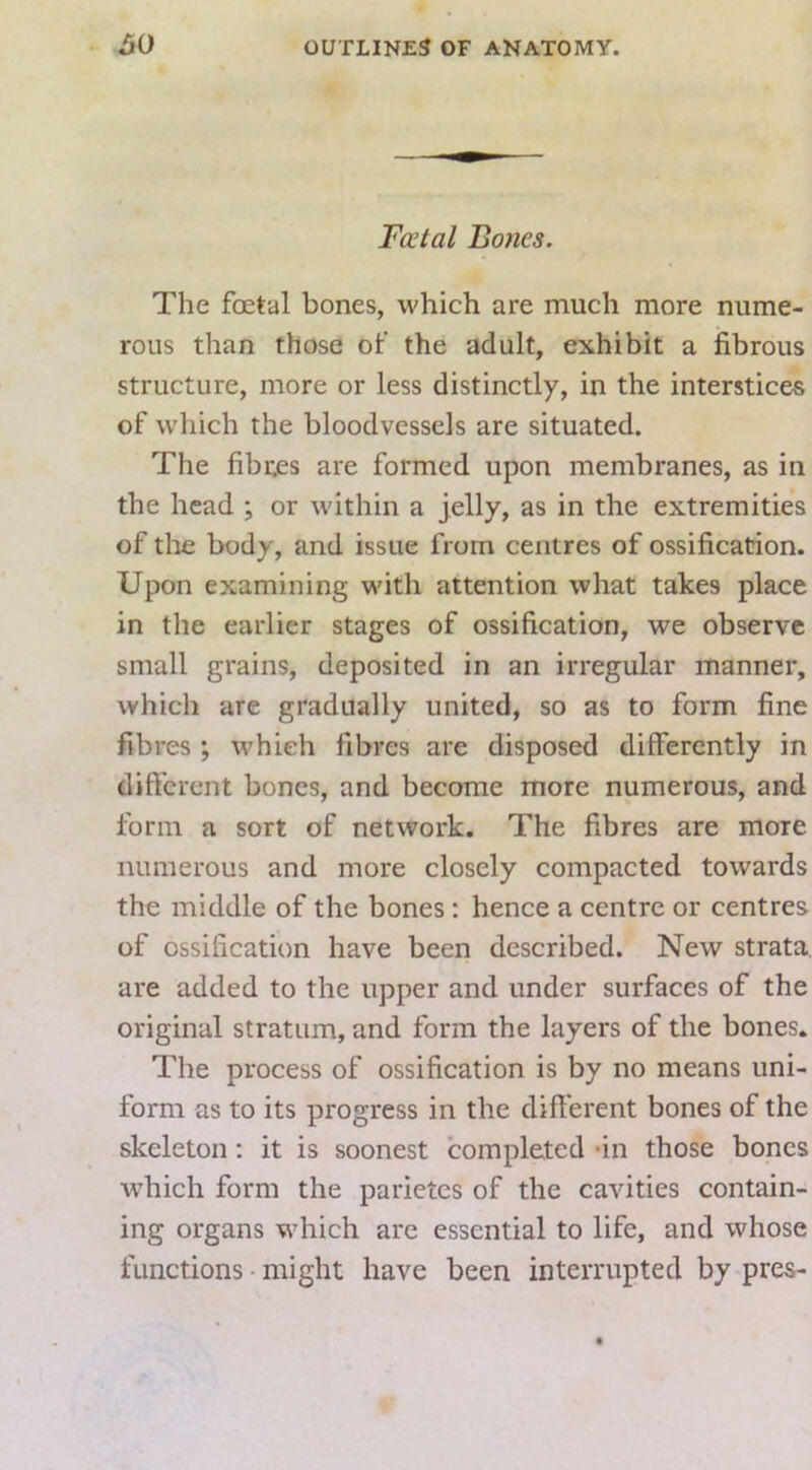 Fa’tal Bones. The foetal bones, which are much more nume- rous than those of the adult, exhibit a fibrous structure, more or less distinctly, in the interstices of which the bloodvessels are situated. The fibres are formed upon membranes, as in the head ; or within a jelly, as in the extremities of tlie body, and issue from centres of ossification. Upon examining with attention what takes place in the earlier stages of ossification, we observe small grains, deposited in an irregular manner, which are gradually united, so as to form fine fibres ; which fibres are disposed differently in dift'crent bones, and become more numerous, and form a sort of network. The fibres are more numerous and more closely compacted towards the middle of the bones; hence a centre or centres of ossification have been described. New strata, are added to the upper and under surfaces of the original stratum, and form the layers of the bones. The process of ossification is by no means uni- form as to its progress in the diff erent bones of the skeleton: it is soonest completed -in those bones which form the parietes of the cavities contain- ing organs which are essential to life, and whose functions • might have been interrupted by pres-