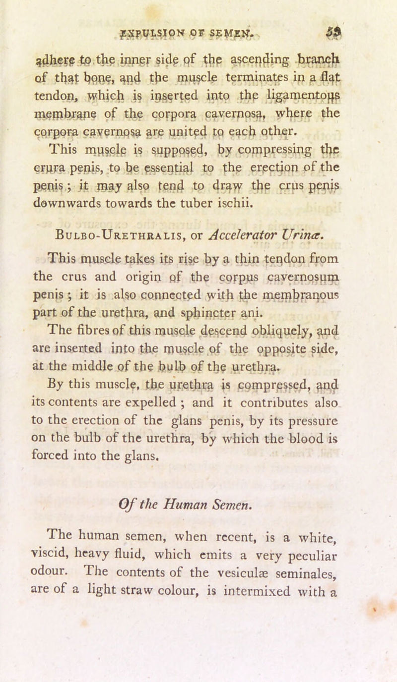 JLXfVLSION OF SEMZN. ^ tp.thp,inpgr sidp pf thp a§cep^ing bra^jbi of tjie miKcle terminates in a tendon, iwhich is ip^erted into .thp ligamentoj^ nvepibr^ne of the corpora cavernosa, where the corpora cavernosa are united to each other. This rnpfclp is ^uppp^pd, by compressing the erpra penis, ,to be pssendal to the erpetion of the penis,; It may also feijid to draw the crus penis downwards towards the tuber ischii. Bulbo-Urethralis, or Accelerator Urina. This muscle takes its ri$e by a thin tepdon from the crus and origin of the cofpus jcayernpsuin penis ; it is also connected wbji t^e meiphtapous part of the urethra, and sphincter ani. The fibres of this muscle de^epnd obliquely, aiid are inserted into the muscle of the opposite side, at the middle of the bulb of thp ,urethra. By this muscle, the urethra is comprpssed, and its contents are expelled ; and it contributes also, to the erection of the glans penis, by its pressure on the bulb of the urethra, by which the blood is forced into the glans. Of the Human Semen. The human semen, when recent, is a white, viscid, heavy fluid, which emits a very peculiar odour. The contents of the vesiculas seminales, are of a light straw colour, is intermixed with a