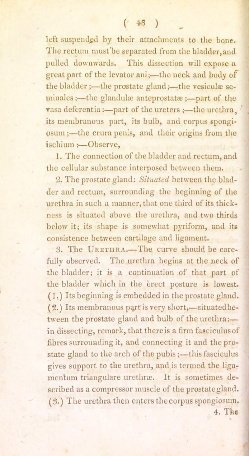 ( « ) left suspended by their attachments to tlie bone. The rectum must be separated from the bladder, and pulled downwards. This dissection will expose a great part of the levator ani;—the neck and body of^ the bladder;—the prostate gland;—the vesiculae se- niinales;—the glandules anteprostatae ;—part of the rasa deferentia:—part of the ureters ;—the urethra, its membranous part, its bulb, and corpus spongi- osum ;—the crura penis, and their origins from the ischium ;—Observe, 1. The connection of the bladder and rectum, and the cellular substance interposed between them. 2. The prostate gland; Situated between the blad- der and rectum, surrounding the beginning of the urethra in such a manner, that one third of its thick- ness is situated above the urethra, and two thirds below it; its shape is somewhat pyriform, and its consistence between cartilage and ligament. 3. The Urethra.—The curve should be care- fully observed. The urethra begins at the neck of the bladder; it is a continuation of that part of the bladder which in the erect posture is lowest. (1.) Its beginning is embedded in the prostate gland. (2.) Its membranous pq^t is very short,—situatedbe- tween the prostate gland and bulb of the urethra:— in dissecting, remark, that there is a firm fasciculus of fibres surrounding it, and connecting it and the pro- state gland to the arch of the pubis;—this fasciculus gives support to the urethra, and is termed the liga- mentum triangulare urethrae. It is sometimes de- scribed as a compressor muscle of the prostategland. (3.) The urethra then enters the corpus spongiosum. 4. The