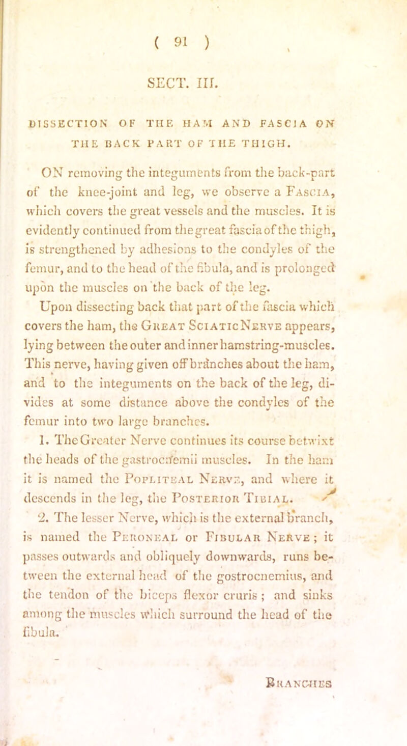 SECT. III. DISSECTION OF TIIF. HAM AND FASCIA ON THE BACK PART OF THE THIGH. ON removing the integuments from the back-part of the knee-joint and leg, we observe a Fascia, which covers the great vessels and the muscles. It is evidently continued from the great fascia of the thigh, is strengthened by adhesions to the condyles of the femur, and to the head of the fibula, and is prolonged upon the muscles on the back of the leg. Upon dissecting back that part of the fascia which covers the ham, the Great SciaticNerve appears, lying between the outer and inner hamstring-muscle6. This nerve, having given off branches about the ham, and to the integuments on the back of the leg, di- vides at some distance above the condyles of the femur into two large branches. 1. The Greater Nerve continues its course betwixt the heads of the gastrochemii muscles. In the ham it is named the Popliteal Nerve, and where it descends in the leg, the Posterior Tibiae. ^ 2. The lesser Nerve, which is the external b'ranch, J f is named the Peroneal or Fibular Nerve; it passes outwards and obliquely downwards, runs be- tween the external head of the gostrocnemius, and the tendon of the biceps flexor cruris; and sinks among the muscles which surround the head of the fibula. Branches