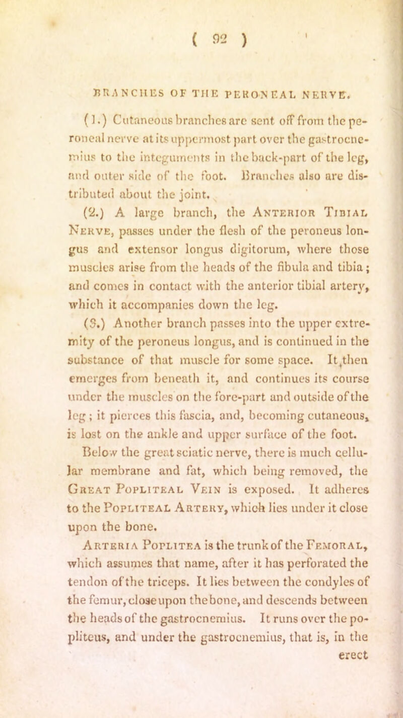 ( « ) I BRANCHES OF THE PERONEAL NERVE. (].) Cutaneous branches are sent off from the pe- roneal nerve at its uppermost part over the gastrocne- mius to the integuments in the back-part of the leg, and outer side of the foot. Branches also are dis- tributed about the joint. (2.) A large branch, the Anterior Tibiae Nerve, passes under the flesh of the peroneus lon- gus and extensor longus digitorum, where those muscles arise from the heads of the fibula and tibia; and comes in contact with the anterior tibial arterv, which it accompanies down the leg. (3.) Another branch passes into the upper extre- mity of the peroneus longus, and is continued in the substance of that muscle for some space. It,then emerges from beneath it, and continues its course under the muscles on the fore-part and outside of the leg ; it pierces this fascia, and, becoming cutaneous, is lost on the ankle and upper surface of the foot. Belo w the great sciatic nerve, there is much cellu- lar membrane and fat, which being removed, the Great Popliteal Vein is exposed. It adheres to the Popliteal Artery, which lies under it close upon the bone. Arteria Poflitea is the trunkof the Femoral, which assumes that name, after it has perforated the tendon of the triceps. It lies between the condyles of the femur, dose upon the bone, and descends between the heads of the gastrocnemius. It runs over the po- pliteus, and under the gastrocnemius, that is, in the erect