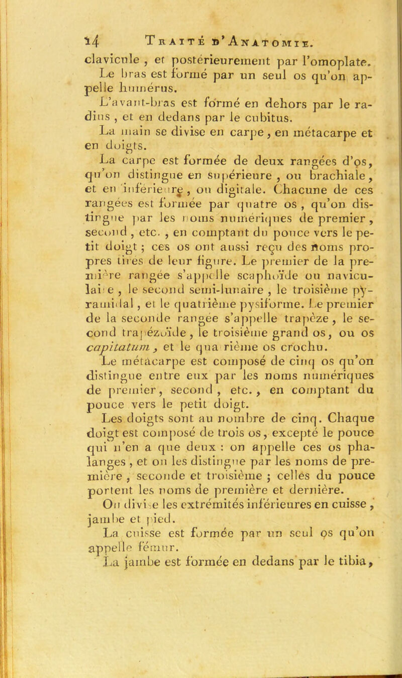 clavicule , et postérieurement par l’omoplate. Le bras est formé par un seul os qu’on ap- pelle humérus. L’avant-bras est formé en dehors par le ra- dins , et en dedans par le cubitus. La main se divise en carpe, en métacarpe et en doigts. La carpe est formée de deux rangées d’os, qu’on distingue en supérieure , ou brachiale, et en inférieur^ , on digitale. Chacune de ces rangées est formée par quatre os , qu’on dis- tingue par les noms numériques de premier , second , etc. , en comptant du pouce vers le pe- tit doigt ; ces os ont aussi reçu des noms pro- pres tires de leur figure. Le premier de la pre- miAre rangée s’appelle scaphoïde ou navicu- lai e , le second semi-lunaire , le troisième py- ramidal , et le quatrième pysifbrine. Le premier de la seconde rangée s’appelle trapèze, le se- cond trapézoïde, le troisième grand os, ou os capitatum y et le qua rième os crochu. Le métacarpe est composé de ciii(| os qu’on distingue entre eux par les noms numériques de premier, second, etc., en comptant du pouce vers le petit doigt. Les doigts sont au nombre de cinq. Chaque doigt est composé de trois os, excepté le pouce qui n’en a que deux : on appelle ces os pha- langes , et on les distingue par les noms de pre- mière , seconde et troisième ; celles du pouce portent les noms de première et dernière. Ou divi e les extrémités inférieures en cuisse , jambe et pied. La cuisse est formée par un seul ps qu’on appelle fémur. La jambe est formée en dedans par le tibia.