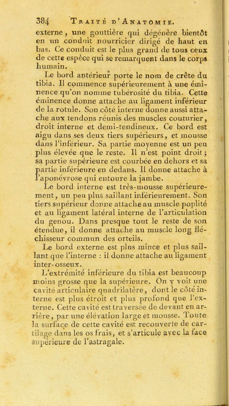 externe , une gouttière qui dégénère bientôt en un conduit nourricier dirigé de haut en bas. Ce conduit est le plus grand de tous ceux de cette espèce qui se remarquent dans le corps humain. Le bord antérieur porte le nom de crête du tibia. Il commence supérieurement à une émi- nence qu’on nomme tubérosité du tibia. Cette éminence donne attache au ligament inférieur de la rotule. Son côté interne donne aussi atta- che aux tendons réunis des muscles couturier, droit interne et demi-tendineux. Ce bord est aigu dans ses deux tiers supérieurs, et mousse dans l’inférieur. Sa partie moyenne est un peu plus élevée que le reste. Il n’est point droit ; sa partie supérieure est courbée en dehors et sa Fartie inférieure en dedans. Il donne attache à aponévrose qui entoure la jambe. Le bord interne est très-mousse supérieure- ment, un peu plus saillant inférieurement. Son tiers supérieur donne attache au muscle poplité et au ligament latéral interne de l’articulation du genou. Dans presque tout le reste de son étendue, il donne attache au muscle long flé- chisseur commun des orteils. Le bord externe est plus mince et plus sail- lant que l’interne : il donne attache au ligament inter-osseux. L’extrémité inférieure du tibia est beaucoup moins grosse que la supérieure. On y voit une cavité articulaire quadrilatère, dont le côté in- terne est plus étroit et plus profond que l’ex- terne. Cette cavité est traversée de devant en ar- rière , par une élévation large et mousse. Toute la surface de cette cavité est recouverte de car- tilage dans les os frais, et s’articule avec la face supérieure de l’astragale.
