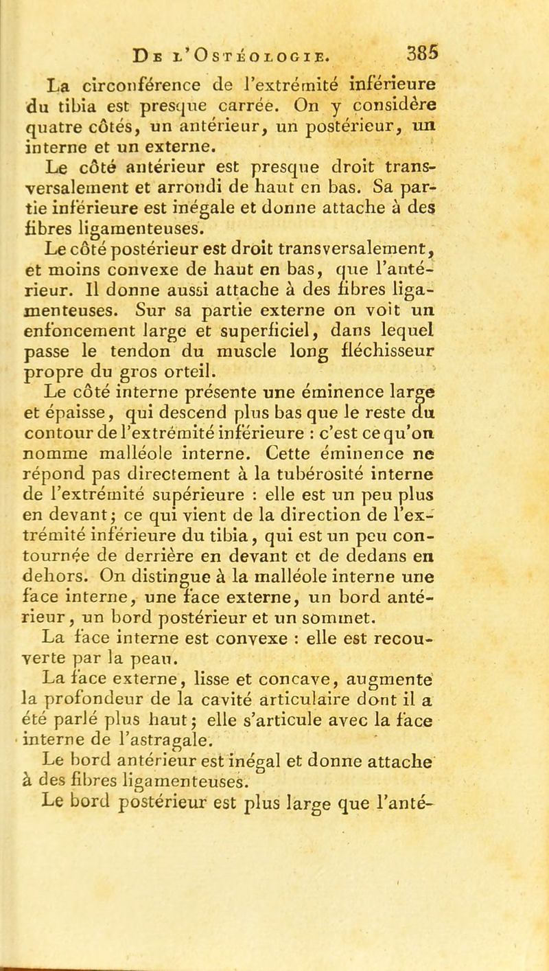La circonférence de J'extrémité inférieure du tibia est presque carrée. On y considère quatre côtés, un antérieur, un postérieur, un interne et un externe. Le côté antérieur est presque droit trans- versalement et arrondi de haut en bas. Sa par- tie inférieure est inégale et donne attache à des fibres ligamenteuses. Le côté postérieur est droit transversalement, et moins convexe de haut en bas, que l’anté- rieur. Il donne aussi attache à des fibres liga- menteuses. Sur sa partie externe on voit un enfoncement large et superficiel, dans lequel passe le tendon du muscle long fléchisseur propre du gros orteil. Le côté interne présente une éminence large et épaisse, qui descend plus bas que le reste du contour de l’extrémité inférieure : c’est ce qu’on nomme malléole interne. Cette éminence ne répond pas directement à la tubérosité interne de l’extrémité supérieure : elle est un peu plus en devant; ce qui vient de la direction de l’ex- trémité inférieure du tibia, qui est un peu con- tournée de derrière en devant et de dedans en dehors. On distingue à la malléole interne une face interne, une face externe, un bord anté- rieur , un bord postérieur et un sommet. La face interne est convexe : elle est recou- verte par la peau. La face externe, lisse et concave, augmente la profondeur de la cavité articulaire dont il a été parlé plus haut; elle s’articule avec la face interne de l’astragale. Le bord antérieur est inégal et donne attache à des fibres ligamenteuses. Le bord postérieur est plus large que l’anté-