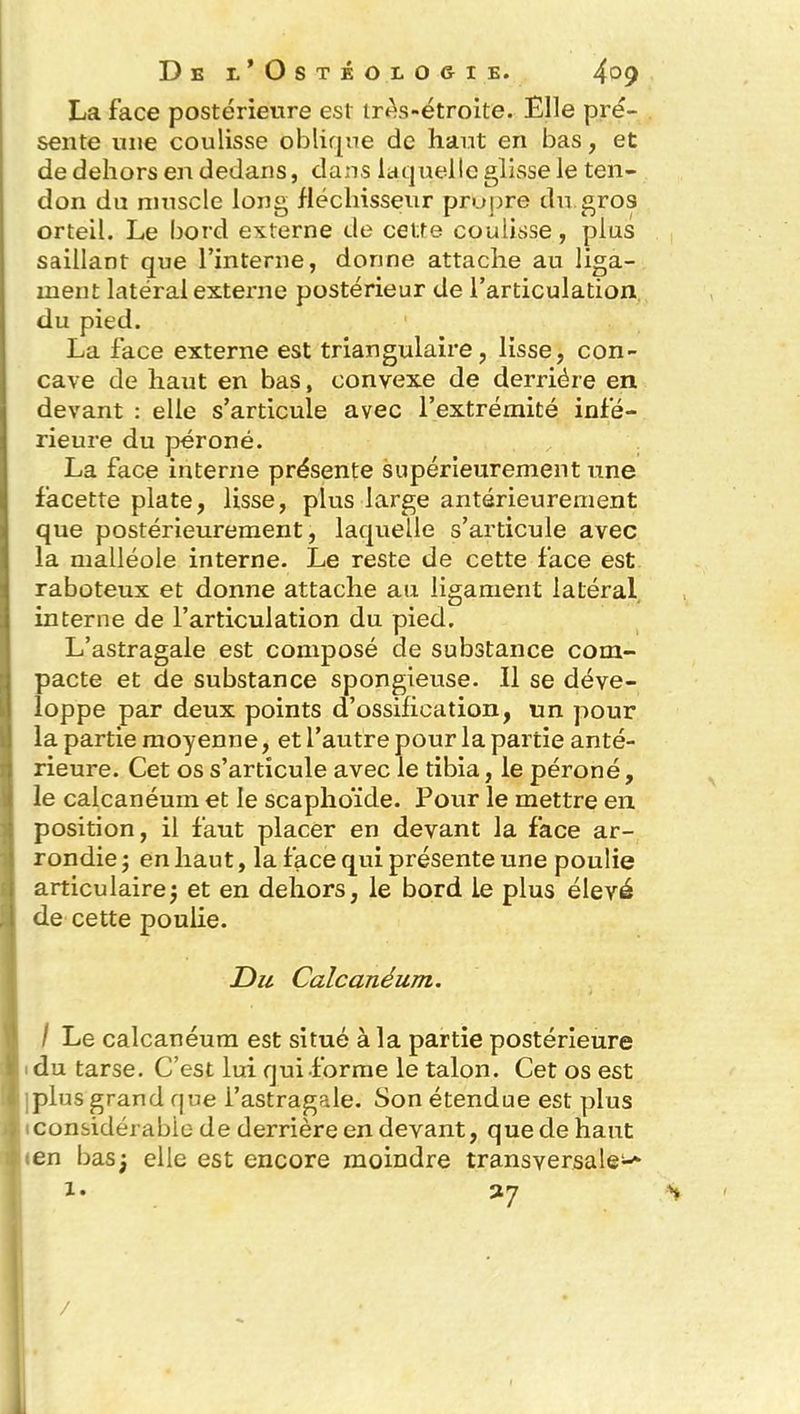 La face postérieure est très-étroite. Elle pré- sente une coulisse oblique de haut en bas, et de dehors en dedans, dans laquelle glisse le ten- don du muscle long fléchisseur propre du gros orteil. Le bord externe de cette coulisse, plus saillant que l’interne, dorme attache au liga- ment latéral extenie postérieur de l’articulation du pied. La face externe est triangulaire, lisse, con- cave de haut en bas, convexe de derrière en devant : elle s’articule avec l’extrémité infé- rieure du péroné. La face interne présente supérieurement une facette plate, lisse, plus large antérieurement que postérieurement, laquelle s’articule avec la malléole interne. Le reste de cette face est raboteux et donne attache au ligament latéral interne de l’articulation du pied. L’astragale est composé de substance com- I pacte et de substance spongieuse. Il se déve- loppe par deux points d’ossification, un pour la partie moyenne, et l’autre pour la partie anté- rieure. Cet os s’articule avec le tibia, le péroné, le calcanéum et le scaphoïde. Pour le mettre en position, il faut placer en devant la face ar- rondie ; en haut, la face qui présente une poulie articulairej et en dehors, le bord ie plus élevé L de cette poulie. Du Calcanéum. I Le calcanéum est situé à la partie postérieure ï du tarse. C’est lui qui forme le talon. Cet os est l plus grand que l’astragale. Son étendue est plus ; considérable de derrière en devant, que de haut : en bas; elle est encore moindre transversale^ x. 37 s /