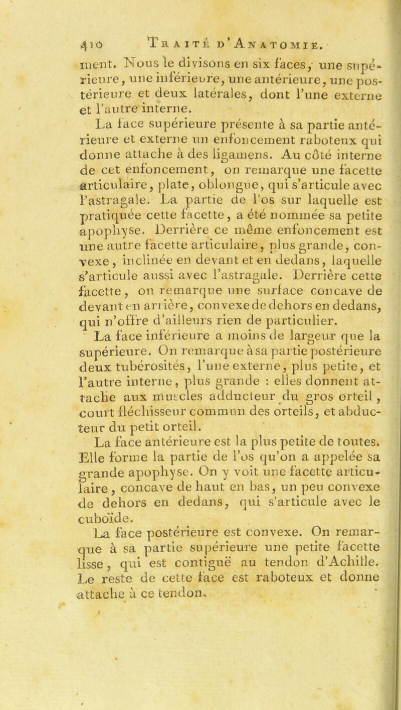 ment. Nous le divisons en six faces, une supé- rieure, une inférieure, une antérieure, une pos- térieure et deux latérales, dont l’une externe et l’autre interne. La face supérieure présente à sa partie anté- rieure et externe un enfoncement raboteux qui donne attache à des iigamens. Au côté interne de cet enfoncement, on remarque une facette articulaire, plate, oblongue, qui s’articule avec l’astragale. La partie de l’os sur laquelle est pratiquée cette facette, a été nommée sa petite apophyse. Derrière ce même enfoncement est une autre facette articulaire, plus grande, con- vexe , inclinée en devant et en dedans, laquelle s’articule aussi avec l’astragale. Derrière cette facette, on remarque une surface concave de devant en arrière, cou vexe de dehors en dedans, qui n’offre d’ailleurs rien de particulier. La face inférieure a moins de largeur que la supérieure. On remarque à sa partie postérieure deux tubérosités, l’une externe, plus petite, et l’autre interne, plus grande : elles donnent at- tache aux muscles adducteur du gros orteil, court fléchisseur commun des orteils, et abduc- teur du petit orteil. La face antérieure est la plus petite de toutes. Elle forme la partie de l’os qu’on a appelée sa grande apophyse. On y voit une facette articu- laire , concave de haut en bas, un peu convexe de dehors en dedans, qui s’articule avec le cuboïde. La face postérieure est convexe. On remar- que à sa partie supérieure une petite facette lisse, qui est contiguë au tendon d’Achille. Le reste de cette face est raboteux et donne attache à ce tendon.