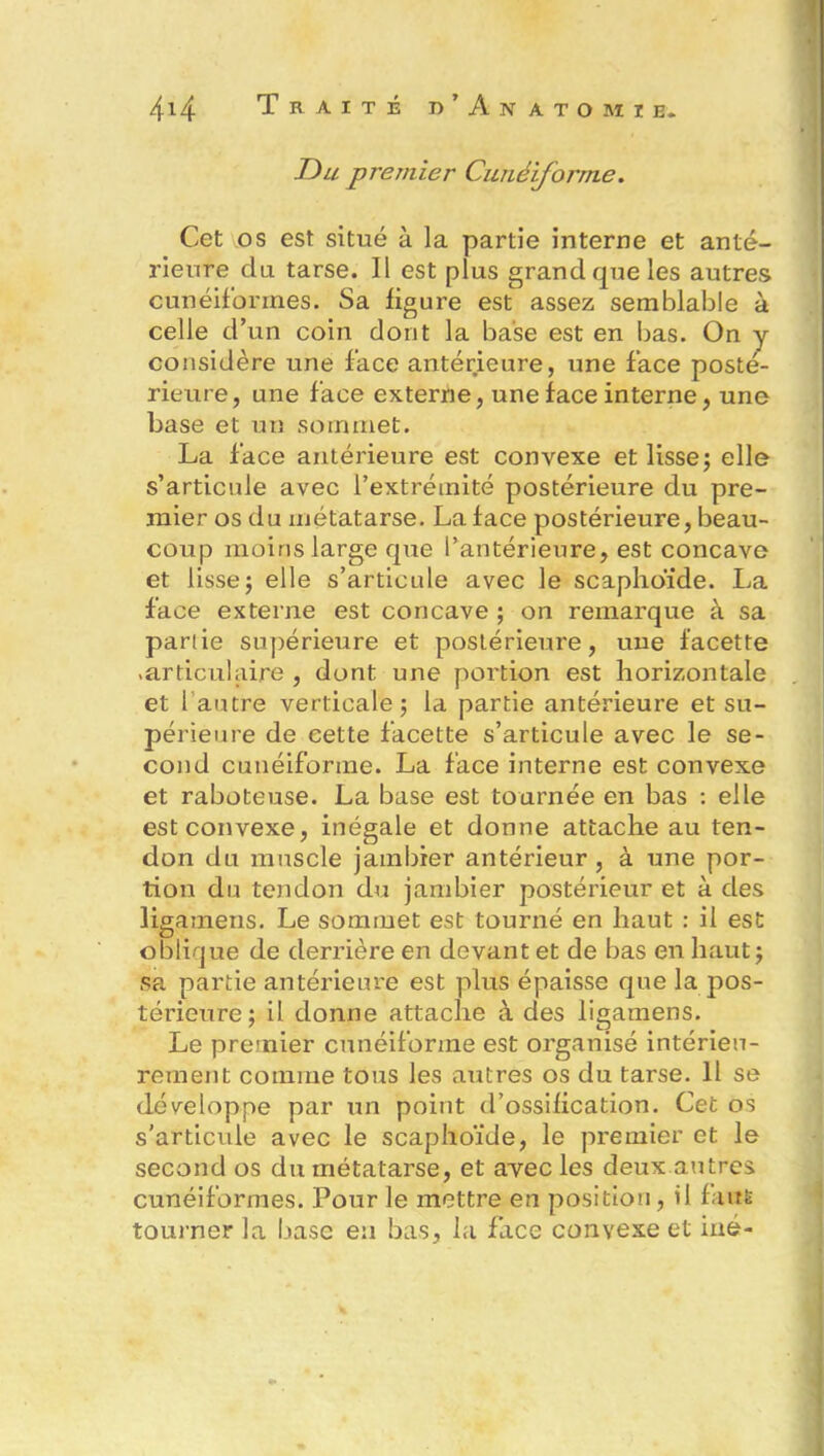 Du premier Cunéiforme. Cet os est situé à la partie interne et anté- rieure du tarse. Il est plus grand que les autres cunéiformes. Sa figure est assez semblable à celle d’un coin dont la base est en bas. On y considère une face antérieure, une face posté- rieure, une face externe, une face interne, une base et un sommet. La face antérieure est convexe et lisse ; elle s’articule avec l’extrémité postérieure du pre- mier os du métatarse. La face postérieure, beau- coup moins large que l’antérieure, est concave et lisse; elle s’articule avec le scaphoïde. La face externe est concave ; on remarque à sa parlie supérieure et postérieure, une facette .articulaire , dont une portion est horizontale et 1 autre verticale; la partie antérieure et su- périeure de cette facette s’articule avec le se- cond cunéiforme. La face interne est convexe et raboteuse. La base est tournée en bas : elle est convexe, inégale et donne attache au ten- don du muscle jambier antérieur, à une por- tion du tendon du jambier postérieur et à des ligamens. Le sommet est tourné en haut : il est oblique de derrière en devant et de bas en haut; sa partie antérieure est plus épaisse que la pos- térieure; il donne attache à des ligamens. Le premier cunéiforme est organisé intérieu- rement comme tous les autres os du tarse. Il se développe par un point d’ossification. Cet os s’articule avec le scaphoïde, le premier et le second os du métatarse, et avec les deux autres cunéiformes. Pour le mettre en position, il faut tourner la base eu bas, la face convexe et iné-