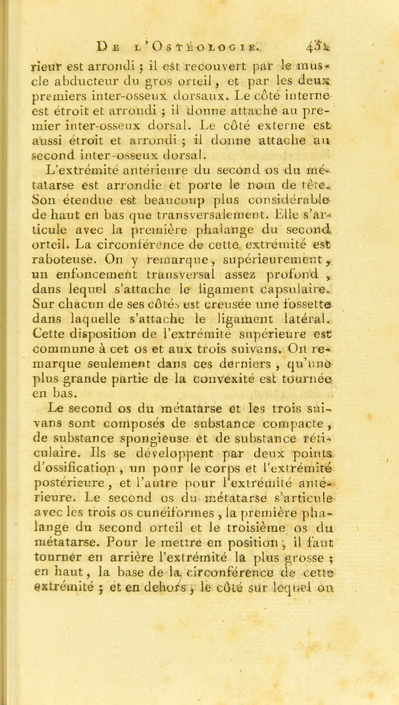 rieur est arrondi $ il est recouvert par le mus- cle abducteur du gros orteil, et par les deux: premiers inter-osseux dorsaux. Le côté interne est étroit et arrondi ; il donne attaché au pre- mier inter-osseux dorsal. Le côté externe est aussi étroit et arrondi ; il donne attache au second inter-osseux dorsal. L’extrémité antérieure du second os du nié* talarse est arrondie et porte le nom de tête. Son étendue est beaucoup plus considérable de haut en bas que transversalement. Elle s’ar- ticule avec la première phalange du second orteil. La circonférence de celte extrémité est raboteuse. On y remarque, supérieurement, un enfoncement transversal assez profond , dans lequel s’attache le ligament capsulaire. Sur chacun de ses côté.s est creusée une fossette dans laquelle s’attache le ligament latéral. Cette disposition de l’extrémité supérieure est commune à cet os et aux trois suivans. Ort re- marque seulement dans ces derniers , qu’une plus grande partie de la convexité est tournée en bas. Le second os du métatarse et les trois sui- vans sont composés de substance compacte, de substance spongieuse et de substance réti- culaire. Ils se développent par deux points d’ossificatiop , un pour le corps et l'extrémité postérieure , et l’autre pour l’extrémité anté- rieure. Le second os du métatarse s’articule avec les trois os cunéiformes , la première pha- lange du second orteil et le troisième os du métatarse. Pour le mettre en position -, il faut tourner en arrière l’extrémité la plus grosse ; en haut, la hase de la, circonférence de cette extrémité ; et en dehors , le côté sur lequel on