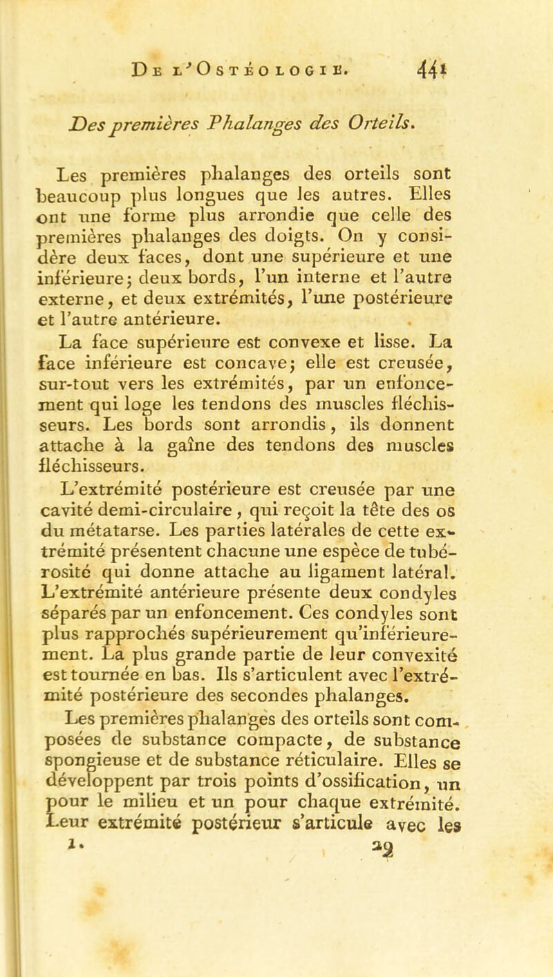 Des premières Phalanges des Orteils. Les premières phalanges des orteils sont beaucoup plus longues que les autres. Elles ont une forme plus arrondie que celle des premières phalanges des doigts. On y consi- dère deux faces, dont une supérieure et une inférieurej deux bords, l’un interne et l’autre externe, et deux extrémités, l’une postérieure et l’autre antérieure. La face supérieure est convexe et lisse. La face inférieure est concave\ elle est creusée, sur-tout vers les extrémités, par un enfonce- ment qui loge les tendons des muscles fléchis- seurs. Les bords sont arrondis, ils donnent attache à la gaîne des tendons des muscles fléchisseurs. L’extrémité postérieure est creusée par une cavité demi-circulaire , qui reçoit la tête des os du métatarse. Les parties latérales de cette ex** trémité présentent chacune une espèce de tubé- rosité qui donne attache au ligament latéral. L’extrémité antérieure présente deux condyles séparés par un enfoncement. Ces condyles sont plus rapprochés supérieurement qu’inférieure- ment. La plus grande partie de leur convexité est tournée en bas. Ils s’articulent avec l’extré- mité postérieure des secondes phalanges. Les premières phalanges des orteils sont com- posées de substance compacte, de substance spongieuse et de substance réticulaire. Elles se développent par trois points d’ossification, un pour le milieu et un pour chaque extrémité. Leur extrémité postérieur s’articule avec les 1» 30