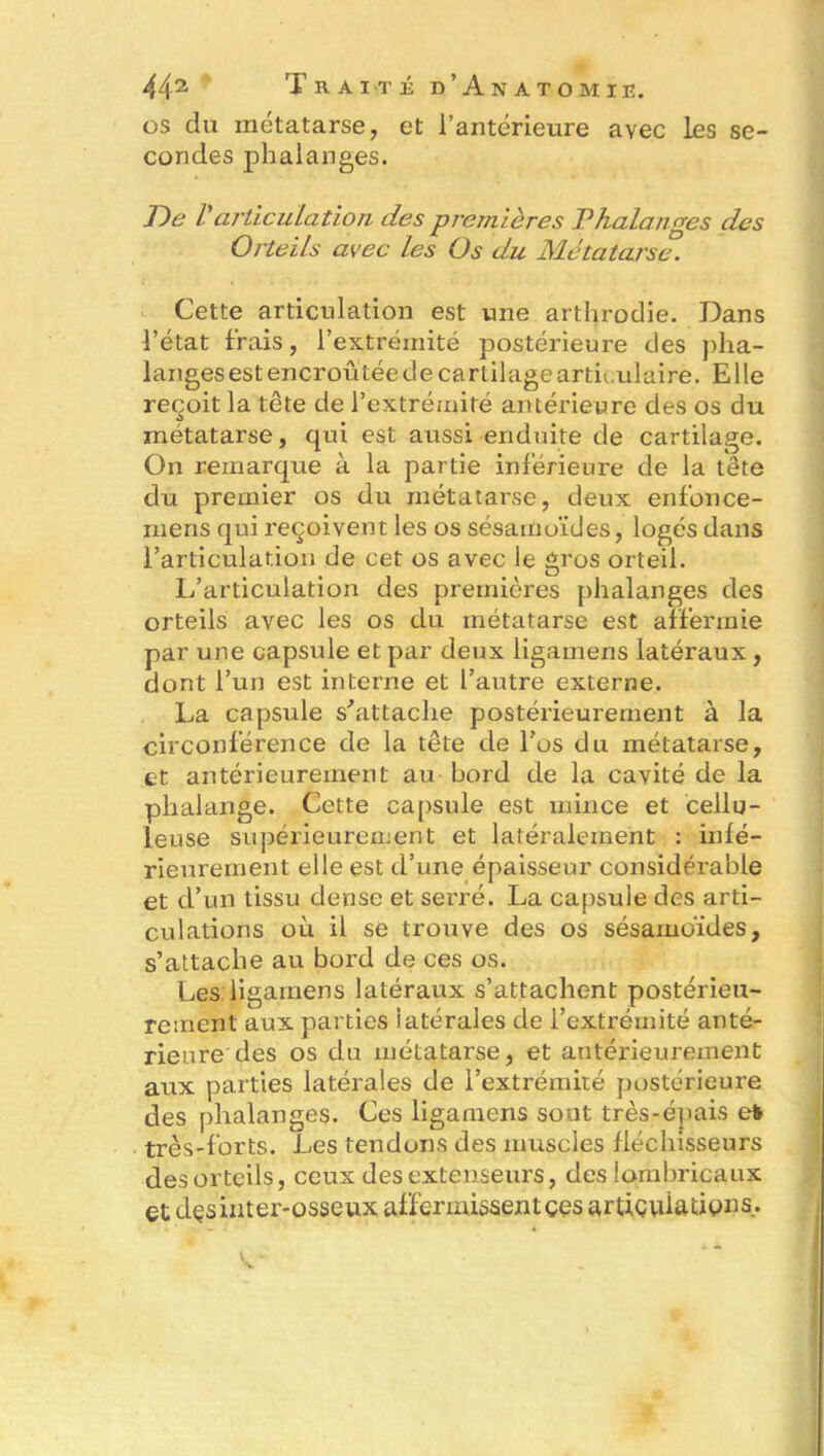 os du métatarse, et l’antérieure avec Les se- condes phalanges. De Varticulation des premières Phalanges des Orteils avec les Os du Métatarse. Cette articulation est une arthrodie. Dans l’état frais , l’extrémité postérieure des pha- langes est encroûtée de cartilage articulaire. Elle reçoit la tête de l’extrémité antérieure des os du métatarse, qui est aussi enduite de cartilage. On remarque à la partie inférieure de la tête du premier os du métatarse, deux enfonce- rnens qui reçoivent les os sésamoïdes, logés dans l’articulation de cet os avec le gros orteil. L’articulation des premières phalanges des orteils avec les os du métatarse est affermie par une capsule et par deux ligainens latéraux, dont l’un est interne et l’autre externe. La capsule s'attache postérieurement à la circonférence de la tête de l’os du métatarse, et antérieurement au bord de la cavité de la phalange. Cette capsule est mince et cellu- leuse supérieurement et latéralement : infé- rieurement elle est d’une épaisseur considérable et d’un tissu dense et serré. La capsule des arti- culations où il se trouve des os sésamoïdes, s’attache au bord de ces os. Les ligamens latéraux s’attachent postérieu- rement aux parties iatérales de l’extrémité anté- rieure des os du métatarse, et antérieurement aux parties latérales de l’extrémité postérieure des phalanges. Ces ligamens sont très-épais efr très-forts. Les tendons des muscles fléchisseurs des orteils, ceux des extenseurs, des lombricaux et dçsinter-osseux affermissent çes articulations.