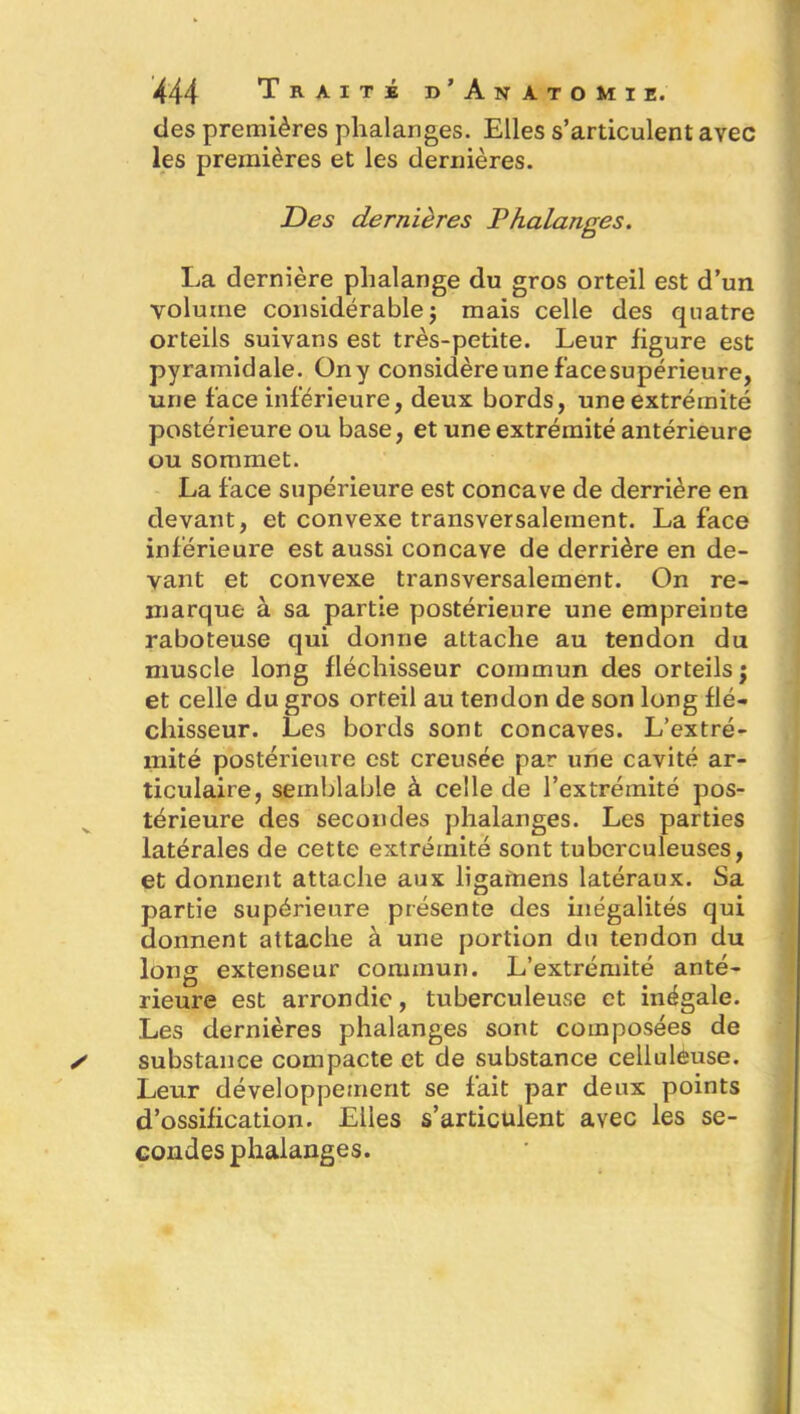 des premières phalanges. Elles s’articulent avec les premières et les dernières. Des dernières Phalanges. La dernière phalange du gros orteil est d’un volume considérablej mais celle des quatre orteils suivans est très-petite. Leur figure est pyramidale. Üny considère une face supérieure, une face inférieure, deux bords, une extrémité postérieure ou base, et une extrémité antérieure ou sommet. La face supérieure est concave de derrière en devant, et convexe transversalement. La face inférieure est aussi concave de derrière en de- vant et convexe transversalement. On re- marque à sa partie postérieure une empreinte raboteuse qui donne attache au tendon du muscle long fléchisseur commun des orteils; et celle du gros orteil au tendon de son long flé- chisseur. Les bords sont concaves. L’extré- mité postérieure est creusée par une cavité ar- ticulaire, semblable à celle de l’extrémité pos- térieure des secondes phalanges. Les parties latérales de cette extrémité sont tuberculeuses, et donnent attache aux ligarnens latéraux. Sa partie supérieure présente des inégalités qui donnent attache à une portion du tendon du long extenseur commun. L’extrémité anté- rieure est arrondie, tuberculeuse et inégale. Les dernières phalanges sont composées de substance compacte et de substance celluleuse. Leur développement se fait par deux points d’ossification. Elles s’articulent avec les se- condes phalanges.
