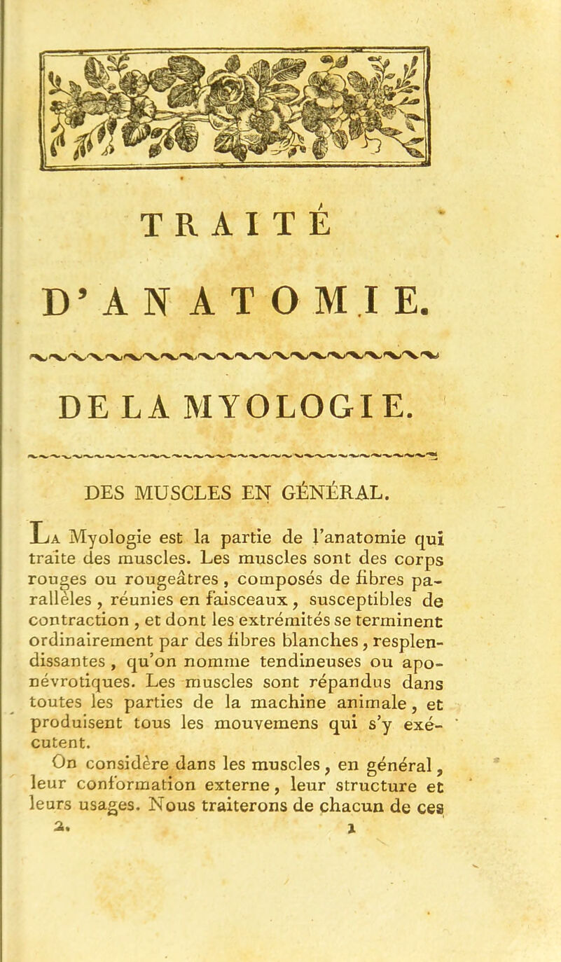 TRAITÉ D’ A N A T O M I E. DE LA MYOLOGIE. DES MUSCLES EN GÉNÉRAL. La Myologie est la partie de Tanatomie qui traite des muscles. Les muscles sont des corps rouges ou rougeâtres, composés de fibres pa- rallèles , réunies en faisceaux , susceptibles de contraction , et dont les extrémités se terminent ordinairement par des fibres blanches, resplen- dissantes , qu’on nomme tendineuses ou apo- névrotiques. Les muscles sont répandus dans toutes les parties de la machine animale, et produisent tous les mouvemens qui s’y exé- cutent. On considère dans les muscles , en général, leur conformation externe, leur structure et leurs usages. Nous traiterons de chacun de ces