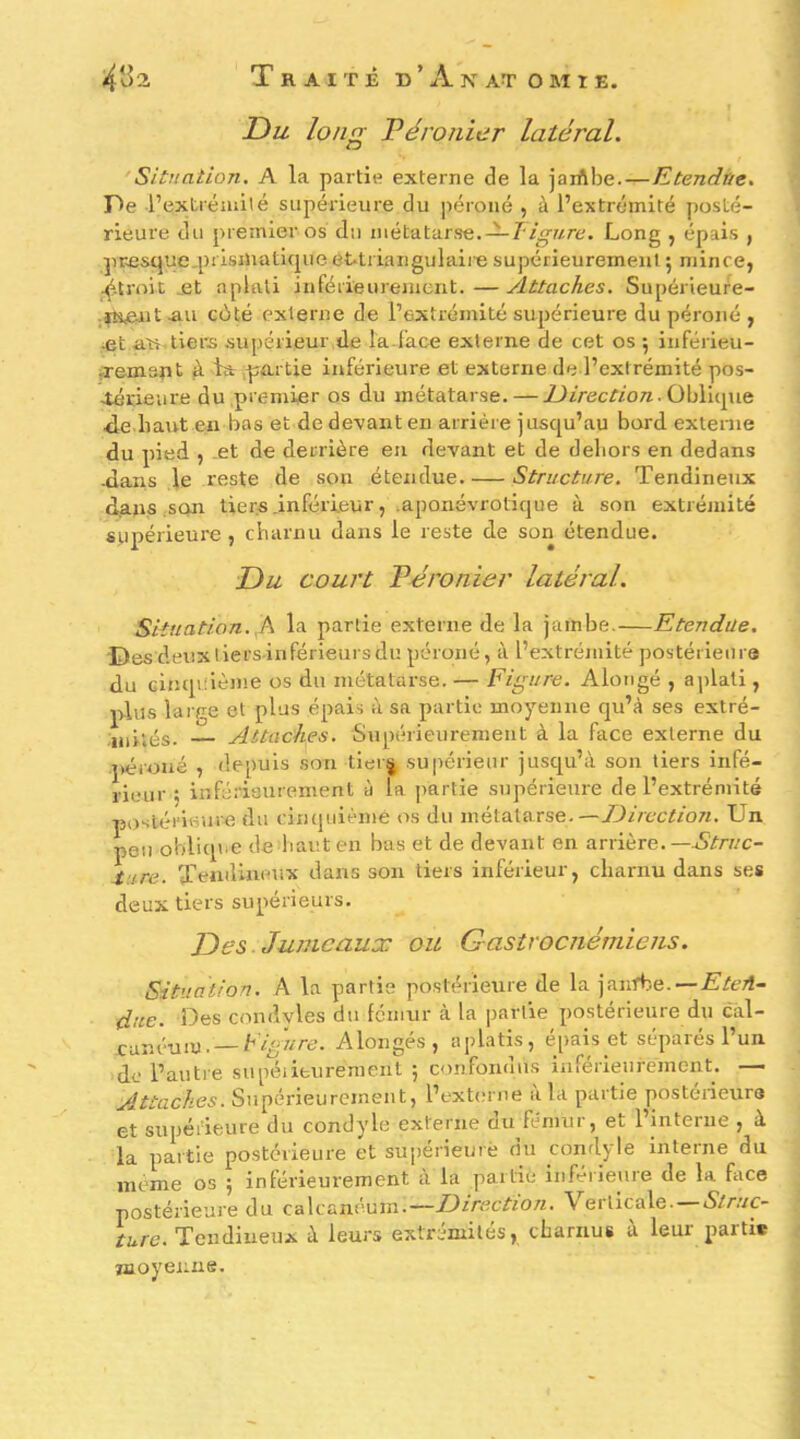 Du long Péronier latéral. 'Situation, A la partie externe de la jaiAbe.—Etendùe, Del’ extréniilé supérieure du péroné , à l’extrémité posté- rieure du premier os du métatarse. —7'/V/-«re. Long , épais , pr.esque-prismatique et.triangulaire supérieurement 5 mince, .^.troit _et aplati inférieurement. — Attaches. Supérieure- ;fîreintÆU C(ité externe de l’extrémité supérieure du péroné , •et utrAiere .supérieur de la.face externe de cet os ; inférieu- rremsîit à la .prcu tie inférieure et externe de l’extrémité pos- térieure du premier os du métatarse.—77r>ec//o/r. Oblique <le haut en bas et de devant en arrière jusqu’au bord externe du pied , .et de derrière en devant et de dehors en dedans •dans le reste de son étendue. — Structure. Tendineux dans son tiers inférieur, .aponévrotique à son extrémité supérieure , charnu dans le reste de son étendue. Du court Péronier latéral. Situation.,h la partie externe de la jambe.—Etendue. Des deuxliersinférieursdu péroné, à l’extrémité postérieure du cinquième os du métatarse. — Figure. Alotigé , aplati, plus large et plus épais à sa partie moyenne qu’à ses extré- Attaches. Supérieurement à la face externe du qréroué , depuis son tier^ supérieur jusqu’à son tiers infé- rieur ; infériourement à la partie supérieure de l’extrémité postérieuce du ciiiquièmé os du métatarse.—IJircction. Un peu obliqiie de haut en bas et de devant en arrière.— tire. Tendineux dans son tiers inférieur, charnu dans ses deux tiers supérieurs. Des Jumeaux ou Gasîrocnémiens. Situation. A la partie postérieure de la janrbe.—Æ'/ctî- due. Des condyles du fémur à la partie postérieure du cal- canéum.—h/«//rc'. Alongés, aplatis, épais et séparés l’un do l’autre supéiieurement ; confondus inférieurement. — Attaches. Supérieurement, l’ext(;rne a la partie postérieurs et supérieure du condyle externe du fémur, et l’mterue , à la partie postérieure et supérieure du condyle interne du même os 5 inférieurement à la partie Inférieure de la face postérieure du calcanéum.—Direction, \ eilicale. Struc- ture. Tendineux à leurs extrémités, charnus à leur parti* moyenne.