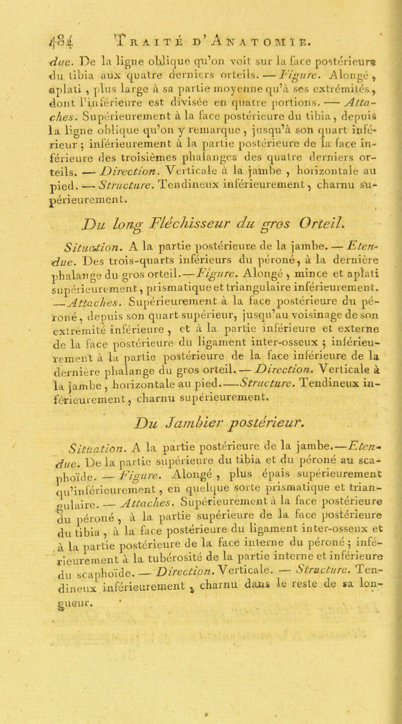 ^ue. De la ligne oblique qii’oii voit: sur la face postérieure du tibia aux quatre derniers orteils.—l'igurc. Alongé , aplati , plus large à sa partie moyenne cjii’à ses extrémités, dont l’iiiiérieure est divisée en quatre portions. — Atta- ches. Supérieurement à la lace postérieure du tibia, depuis la ligue oblique qu’on y remarque , jusqu’à son quart infé- rieur ; inférieurement à la partie postérieure de la face in- férieure des troisièmes phalanges des c^uatre derniers or- teils. — Direction. Verticale à la jambe , horizontale au pÎQci. — Tendineux inférieurement, charnu su- périeurement. JDu long Fléchisseur du gros Orteil. Situation. A la partie ])Ostérieure de la jambe. — Eten* due. Des trois-quarts inférieurs du péroné, à la dernière l'halaiifî'e du gros orteil.—Fimtre. Alongé , mince et aplati supérieurement, pnsmatic^ue et triangulaire intérieurement. Attaches. Siq)érieurement à la face postérieure du pé- roné , depuis son quart supérieur, juscpi’au voisinage de son extrémité inférieure , et à la partie inférieure et e.vterne de la face postérieure du ligament inter-osseux 5 inlérieu- rement à la partie postérieure de la face inférieure de la dernière phalange du gros orteil. — Direction. Verticale à la jambe , horizontale au pied Structure. Tendineux in- férieurement, charnu supérieurement. Du Janibier postérieur. Situation. A la partie postérieure de la jambe.—Eten- due. De la partie supérieure du tibia et du péroné au sca- phoïde. — Figure. Alongé , plus épais supérieurement qu’inférieurement, en quelque sorte prismatique et trian- gulaire. Attaches. Supérieurement à la face postérieure du péroné , à la partie supérieure de la face postérieure du tibia , à la face postérieure du ligament inter-osseux et à la partie postérieure de la face interne du péroné ; infé- rieurement à la tubérosité de la partie interne et inférieure du scaphoïde.— A>/rec*'o7z. Verticale. — Structure. Ten- dineux inférieurement ^ charnu dans le reste de sa Ion-